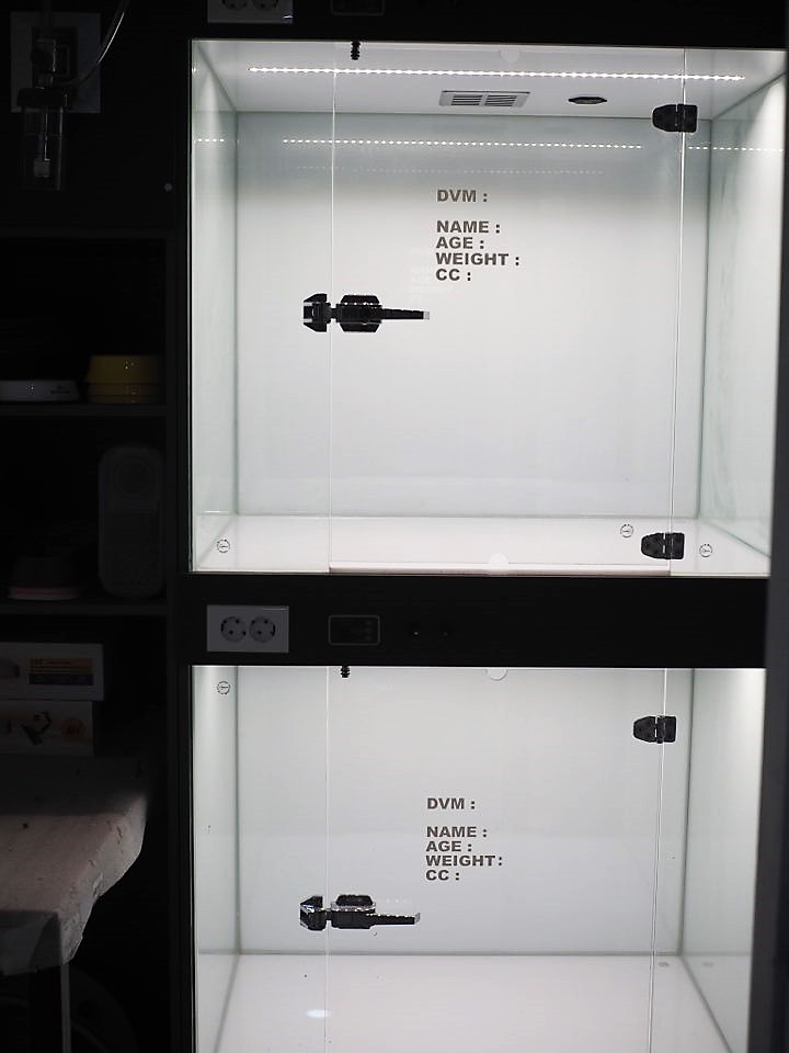 콩닥동물의료센터 대표 이미지