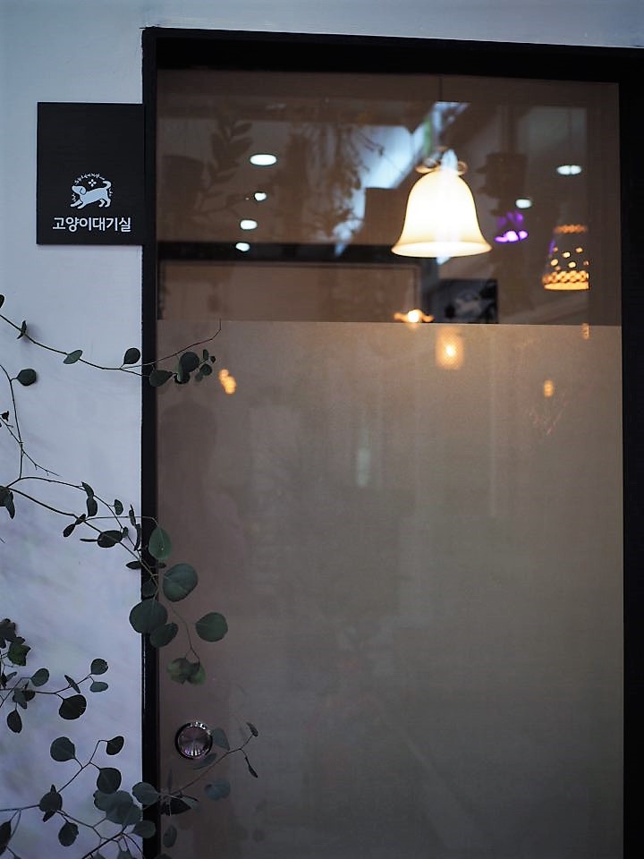 콩닥동물의료센터 대표 이미지