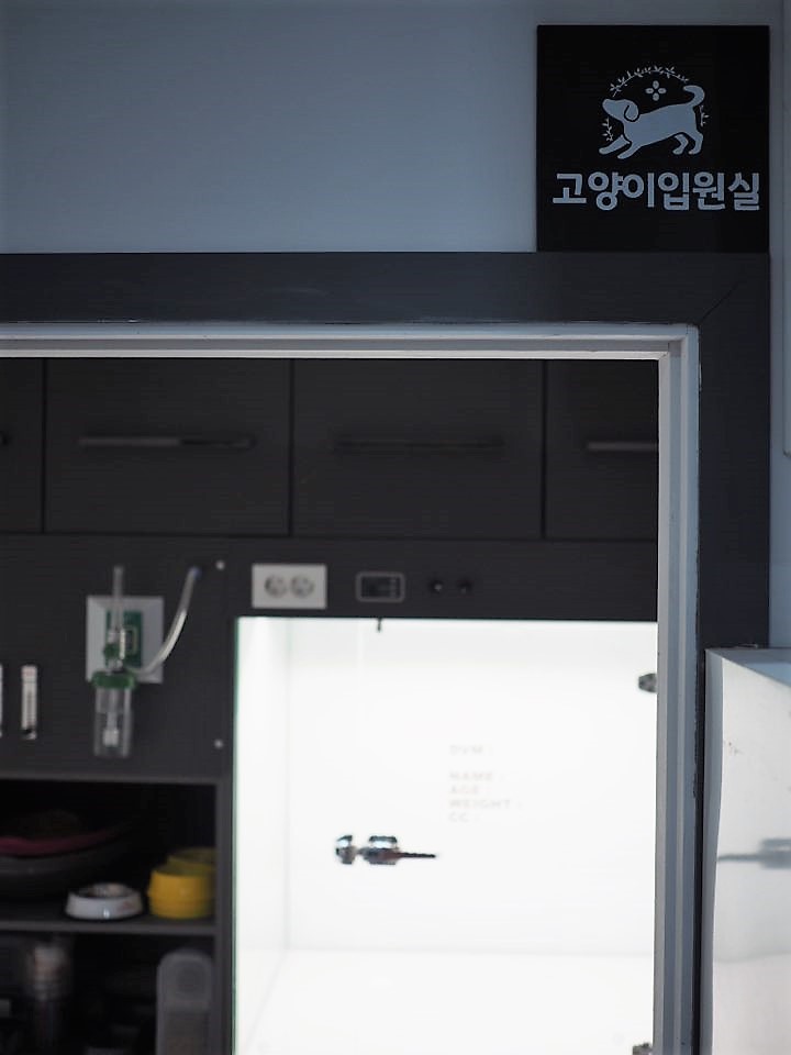 콩닥동물의료센터 대표 이미지