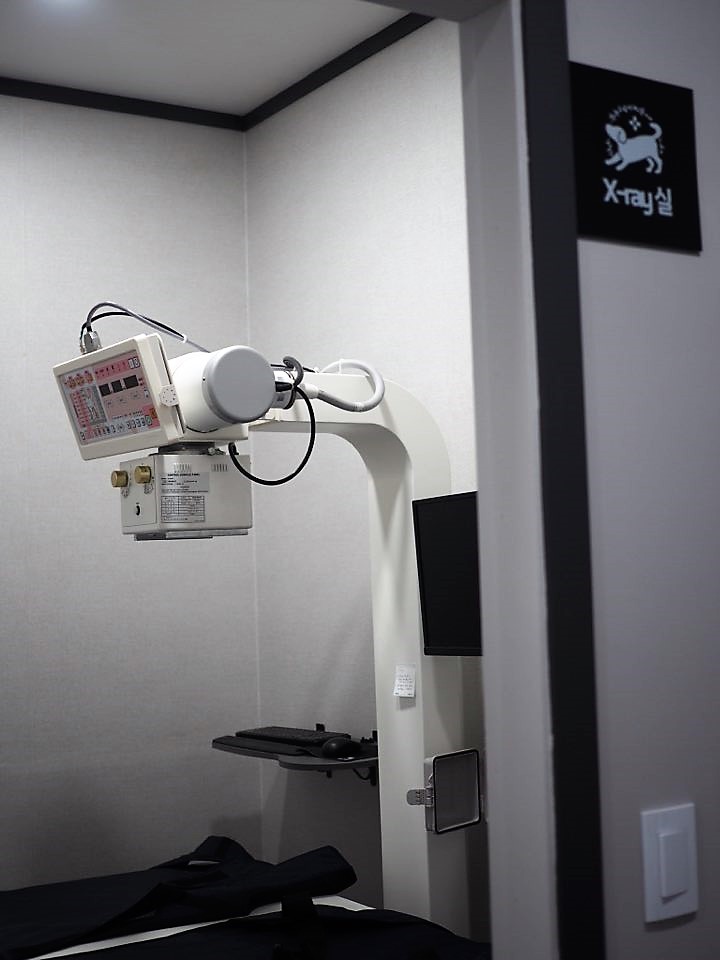 콩닥동물의료센터 대표 이미지