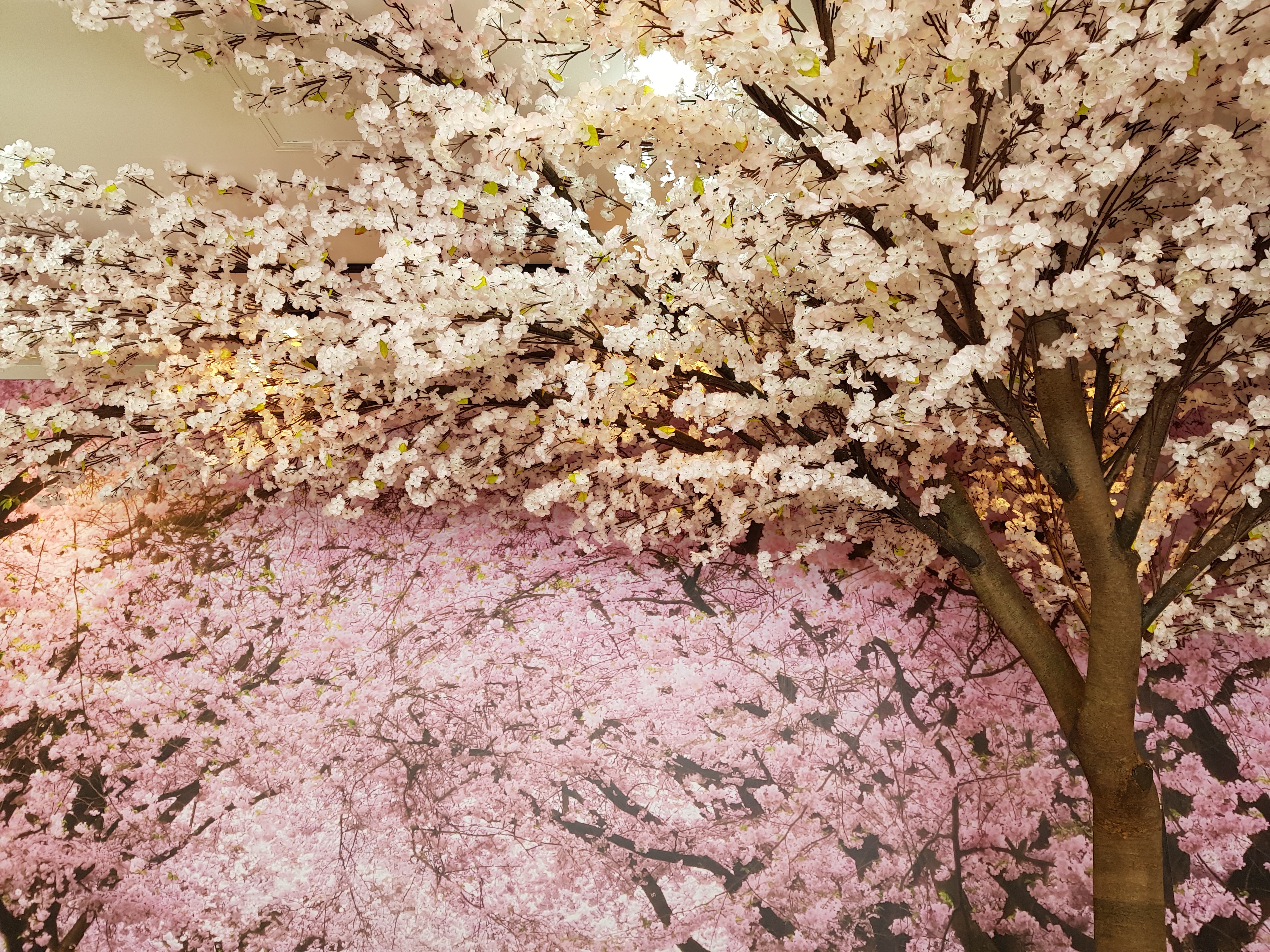 고기박사냉면초계막국수 대표 이미지