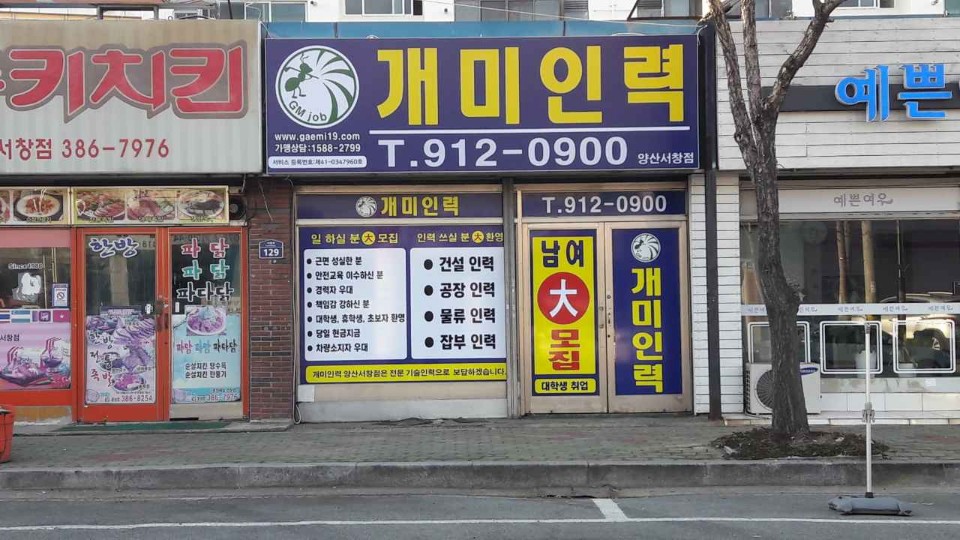 개미인력개발 양산서창점