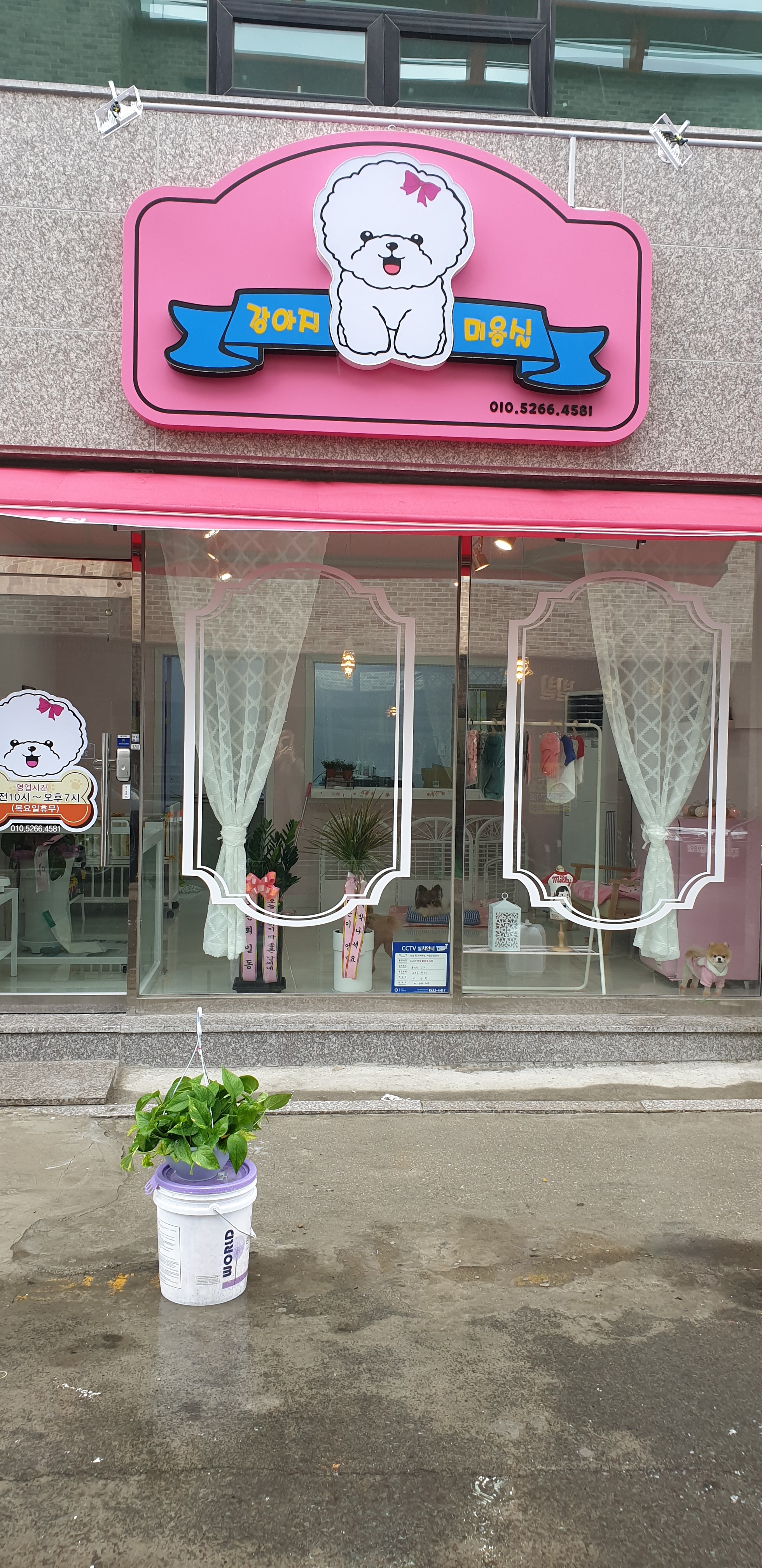 강아지미용실 대표 이미지