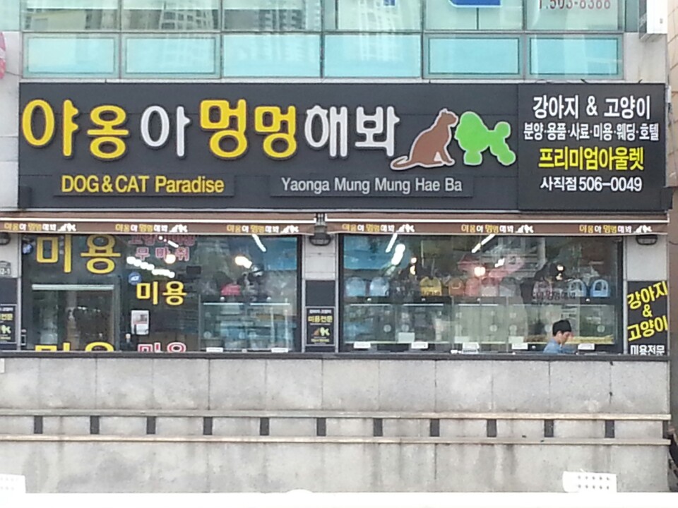 야옹아멍멍해봐 사직점