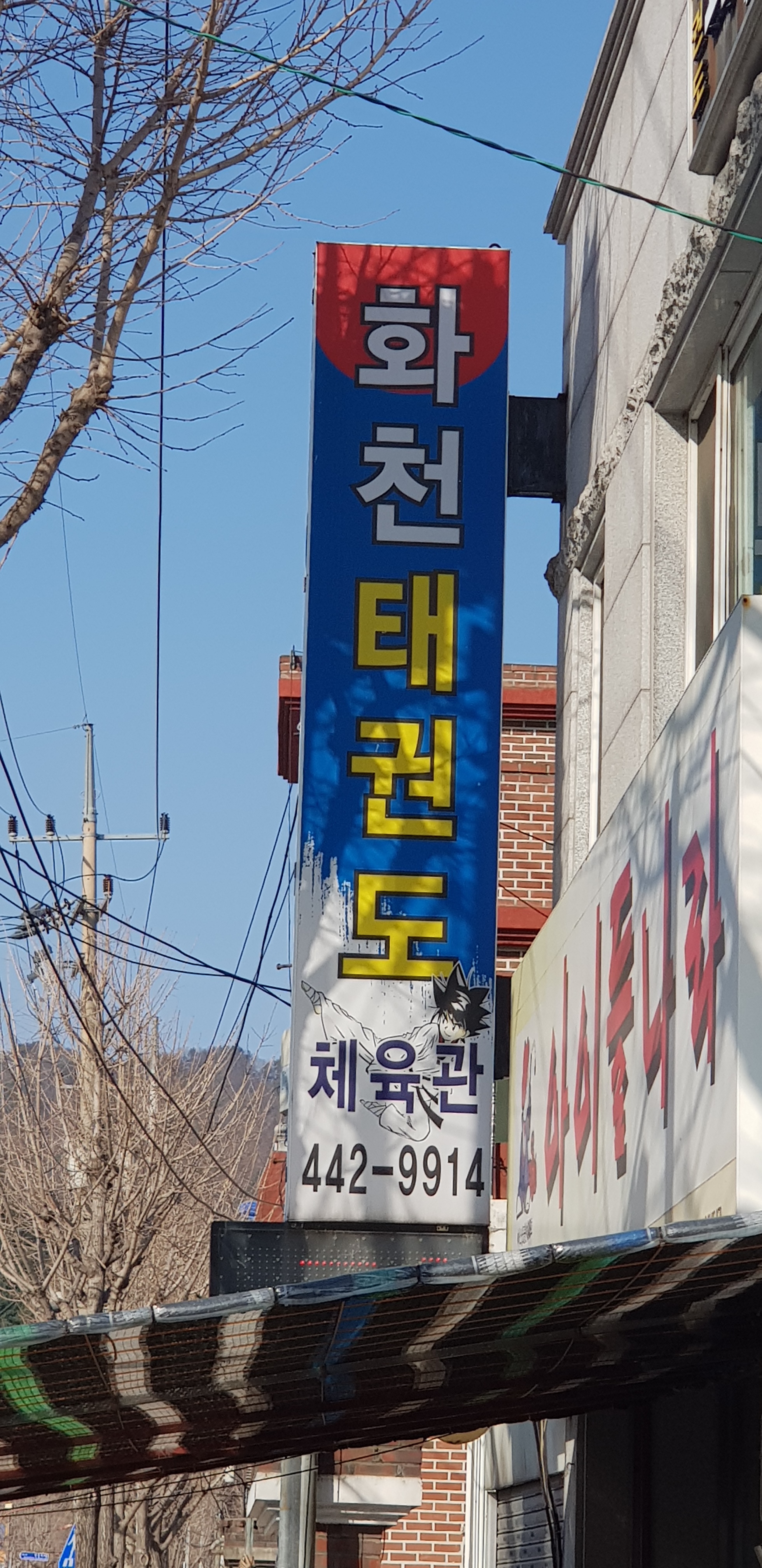 화천체육관