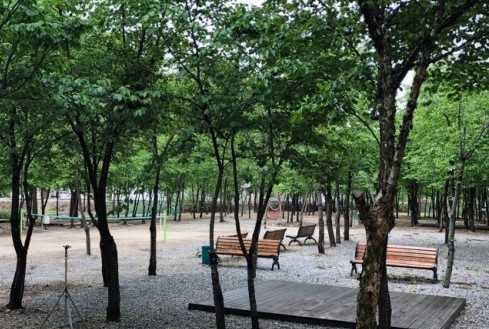 파란풍차