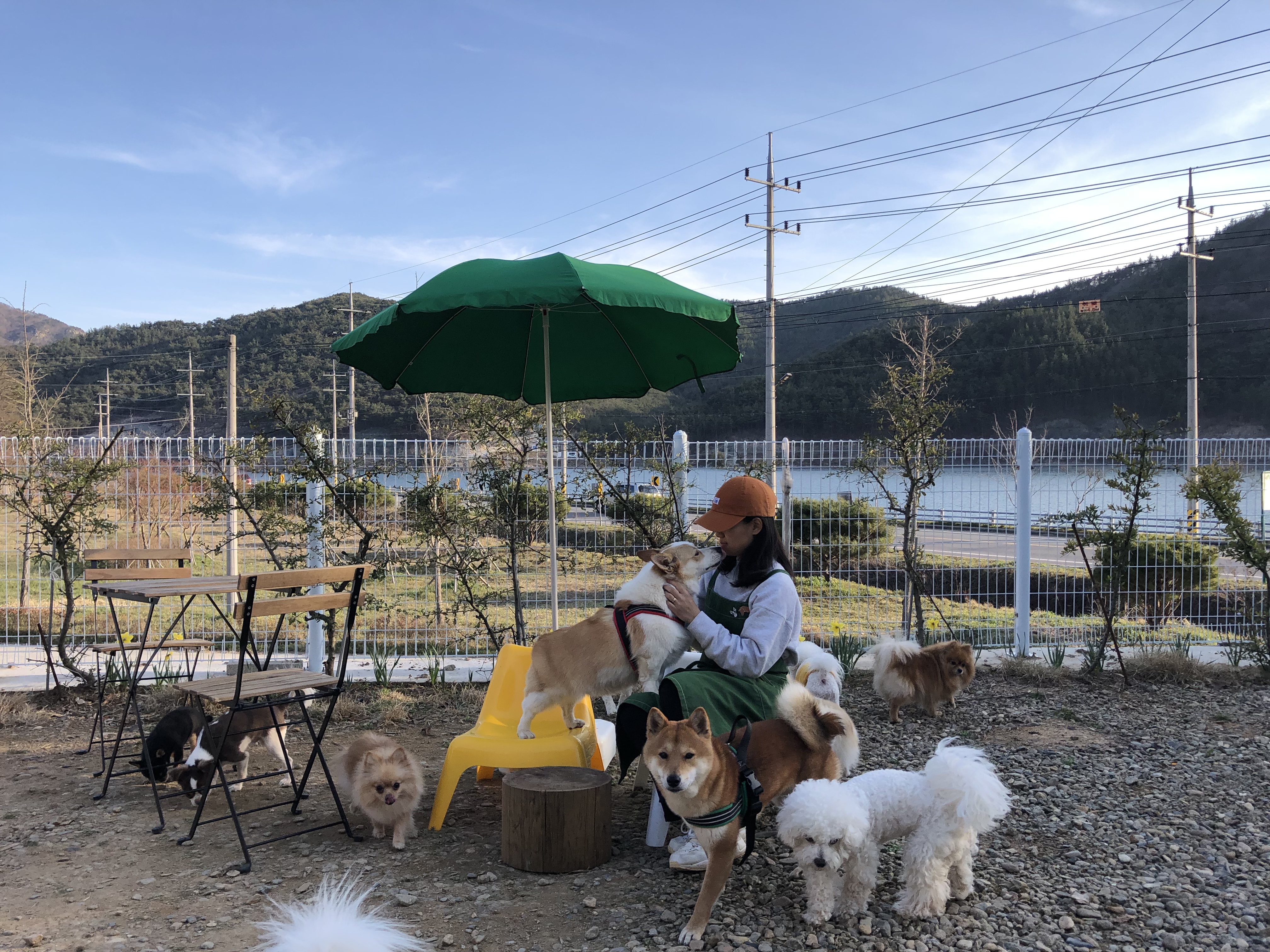 도담도담 대표 이미지