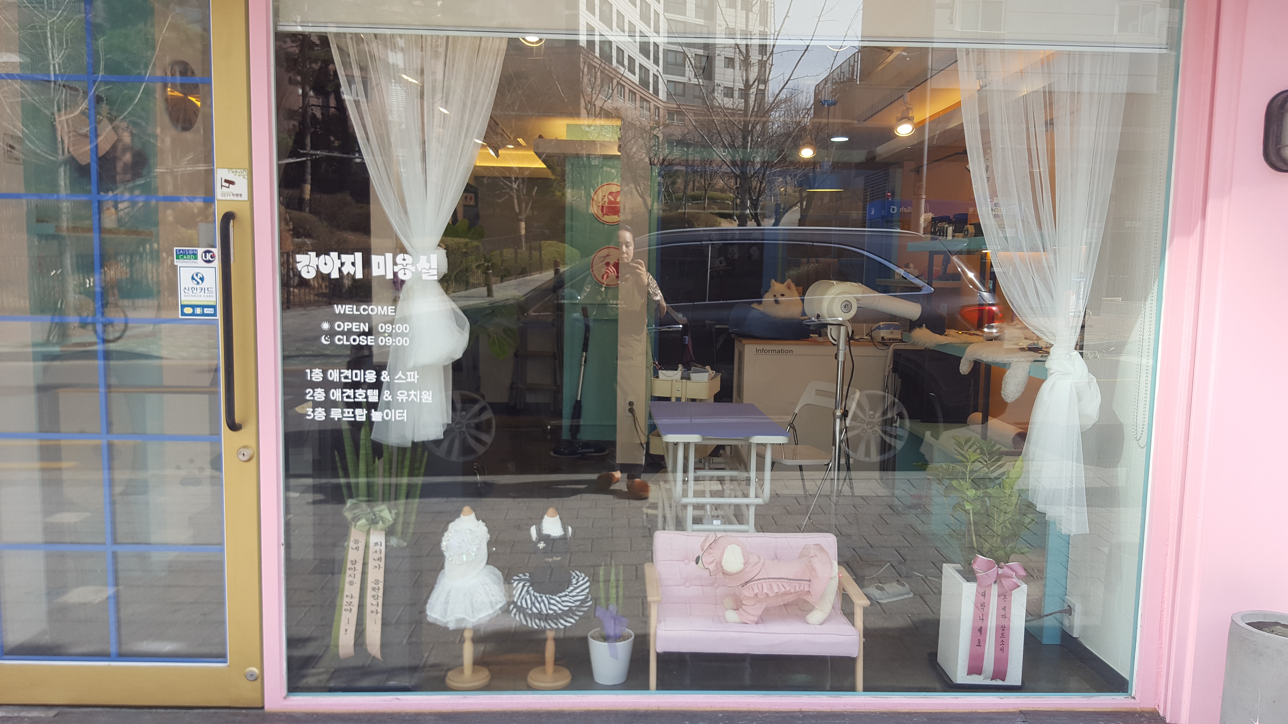 애뚜애뚜펫살롱 대표 이미지