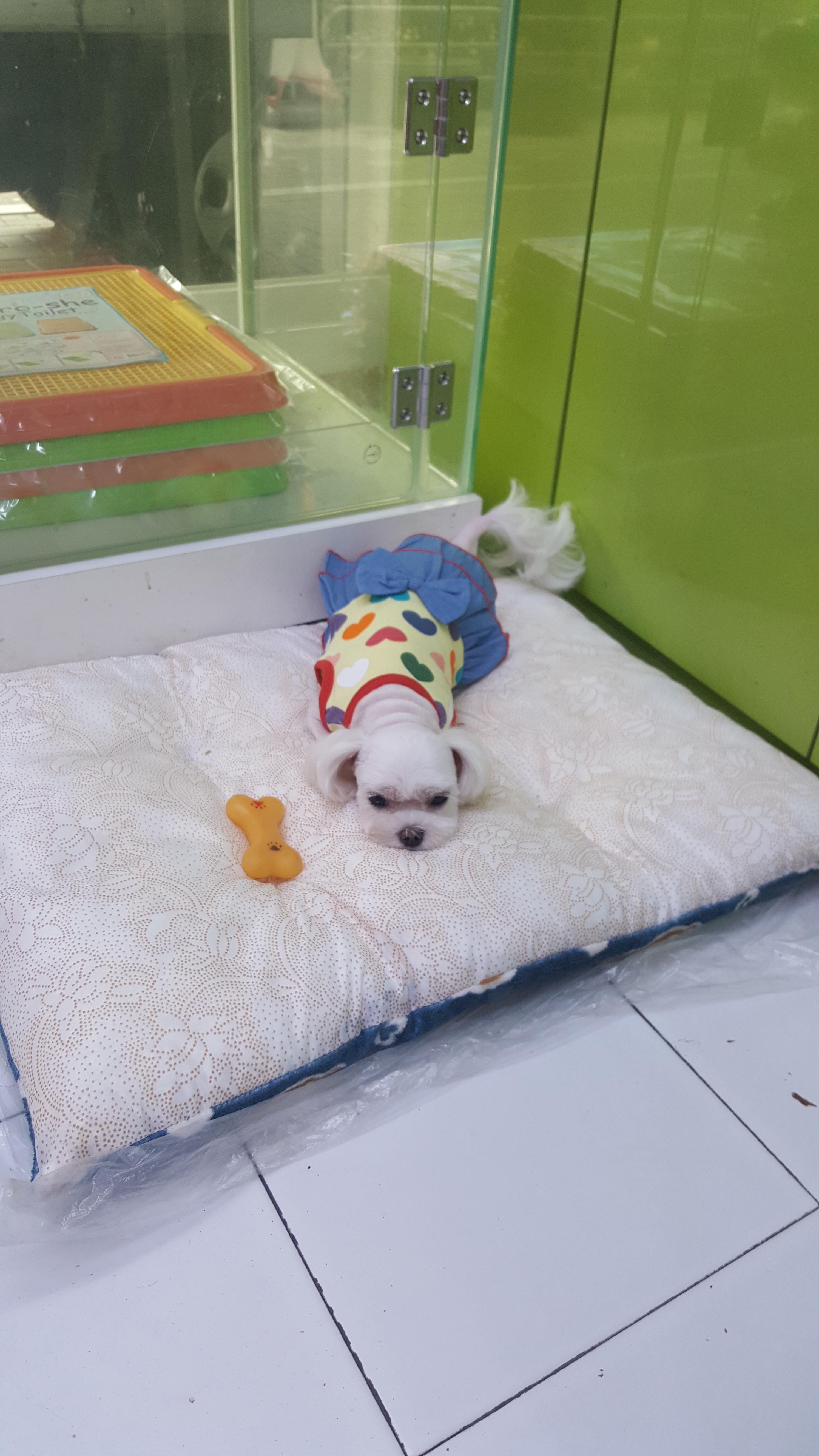 이미지