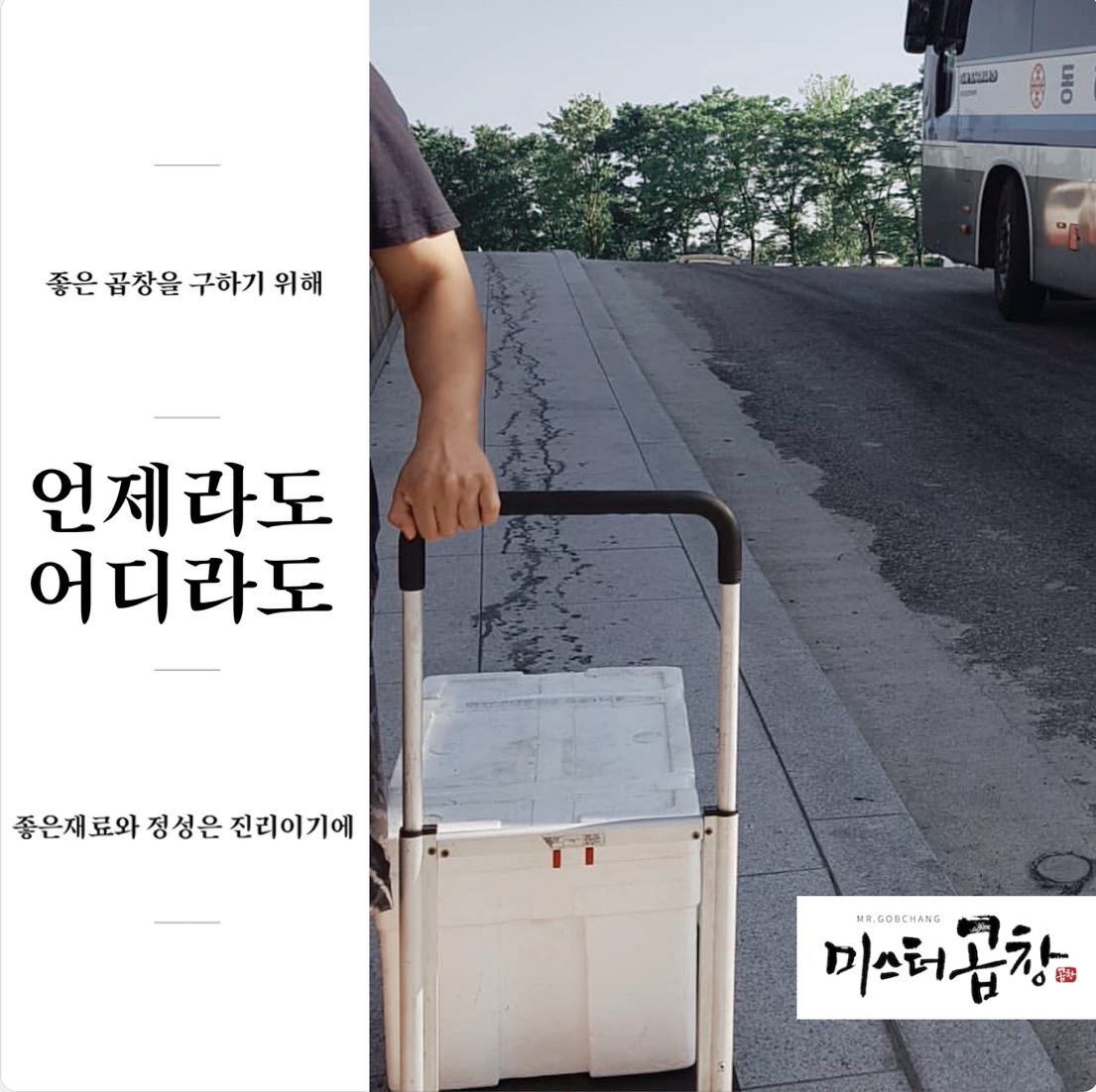 미스터곱창 강릉교동택지본점