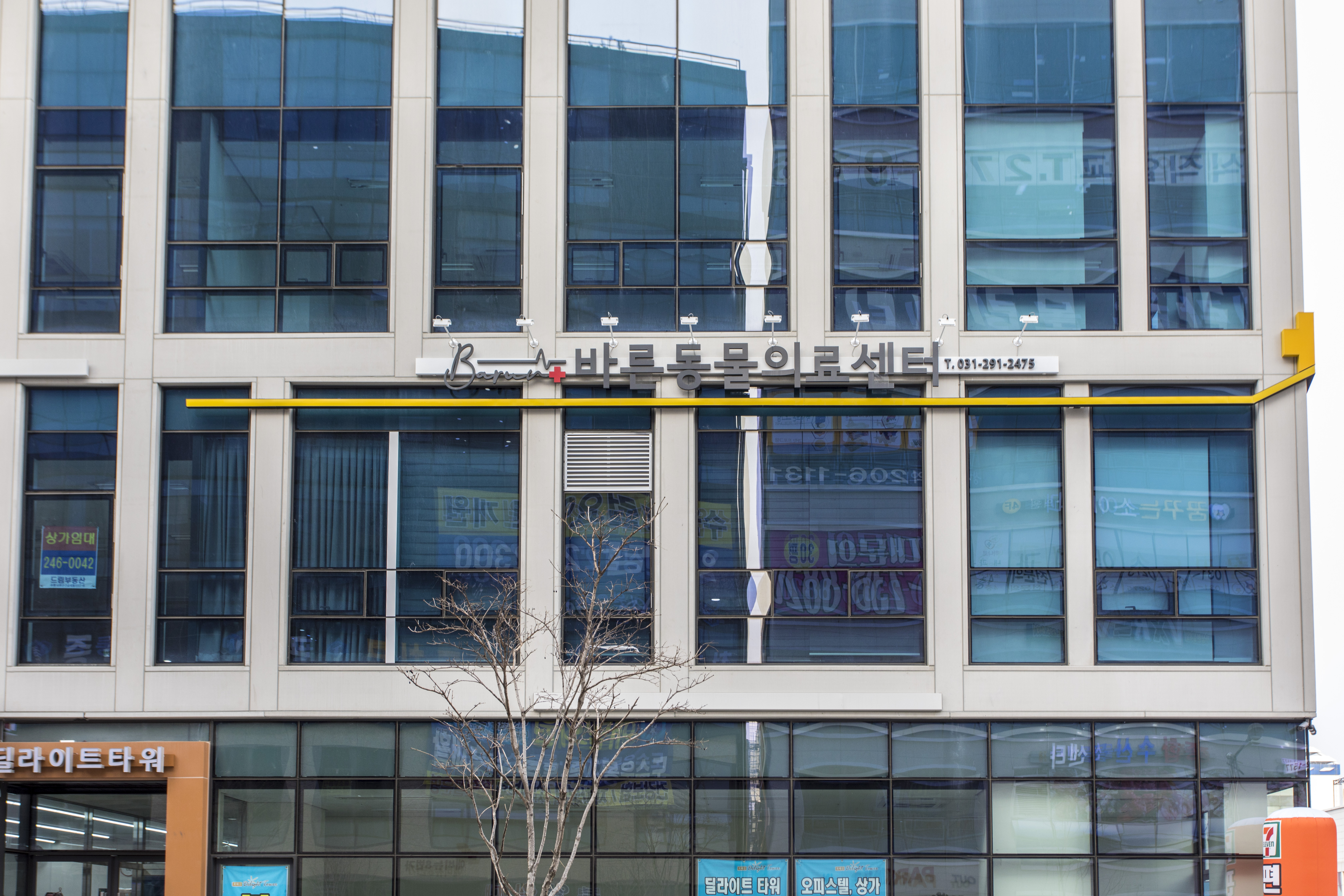 수원24시바른동물의료센터