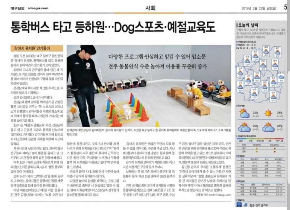 소통하개애견유치원
