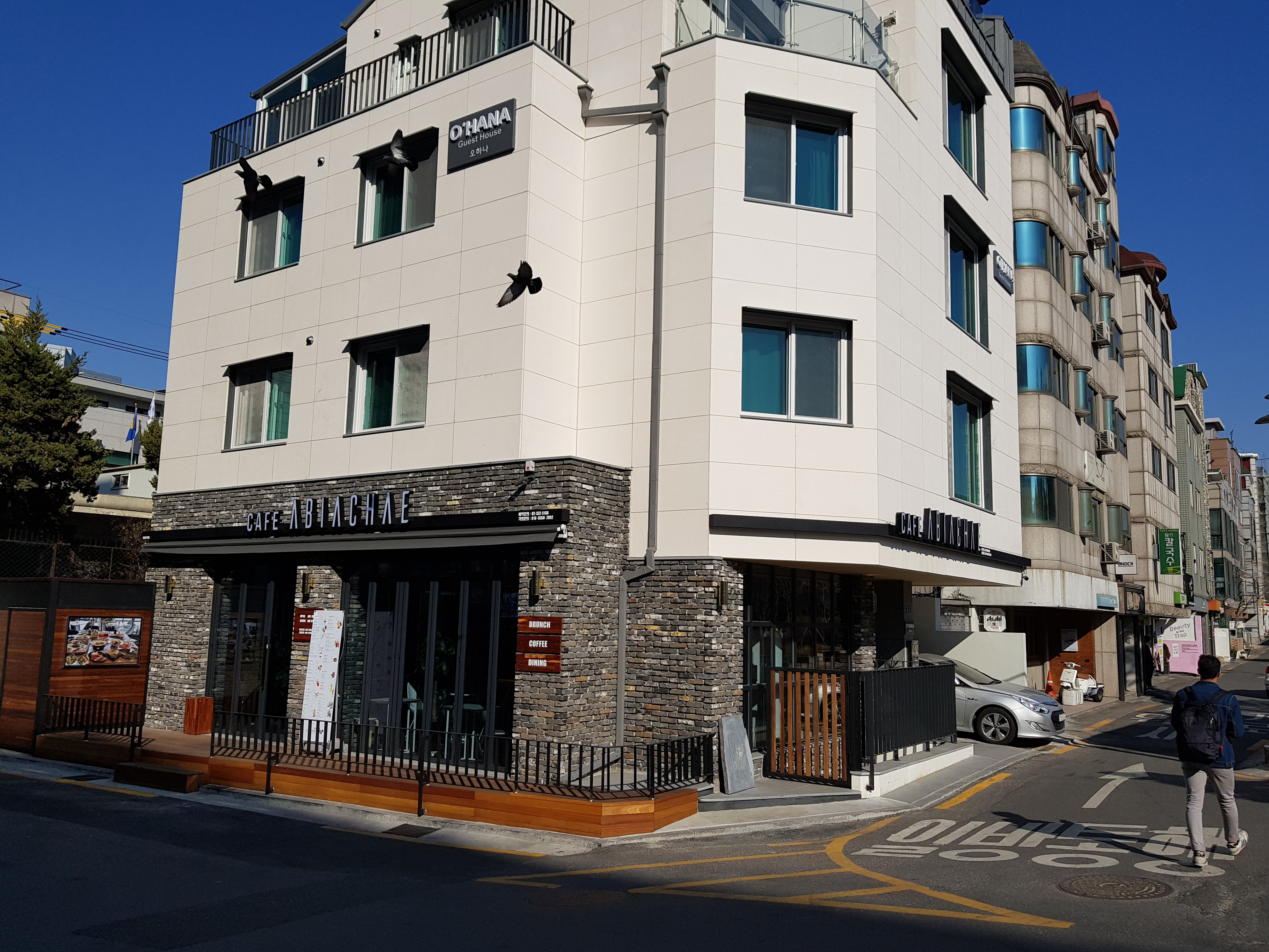 아비아채 서울홍대점 반려동물 동반 애견카페