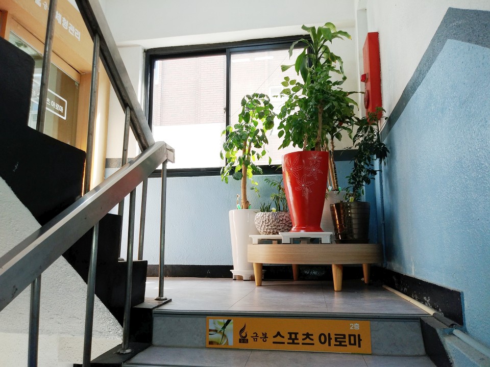 금봉체형관리 photo 3