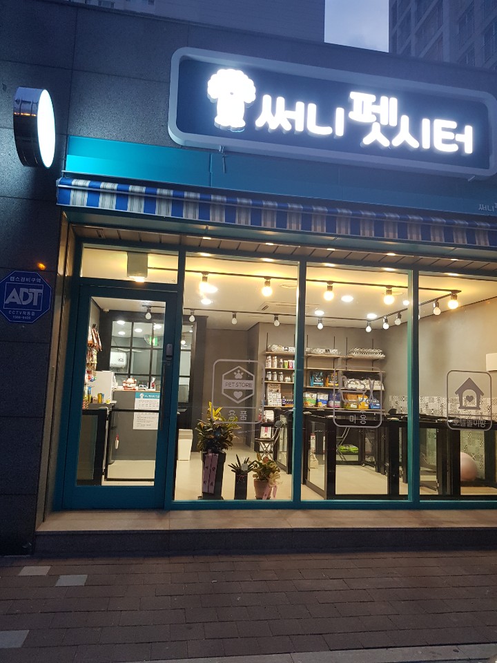 써니펫시터 대표 이미지