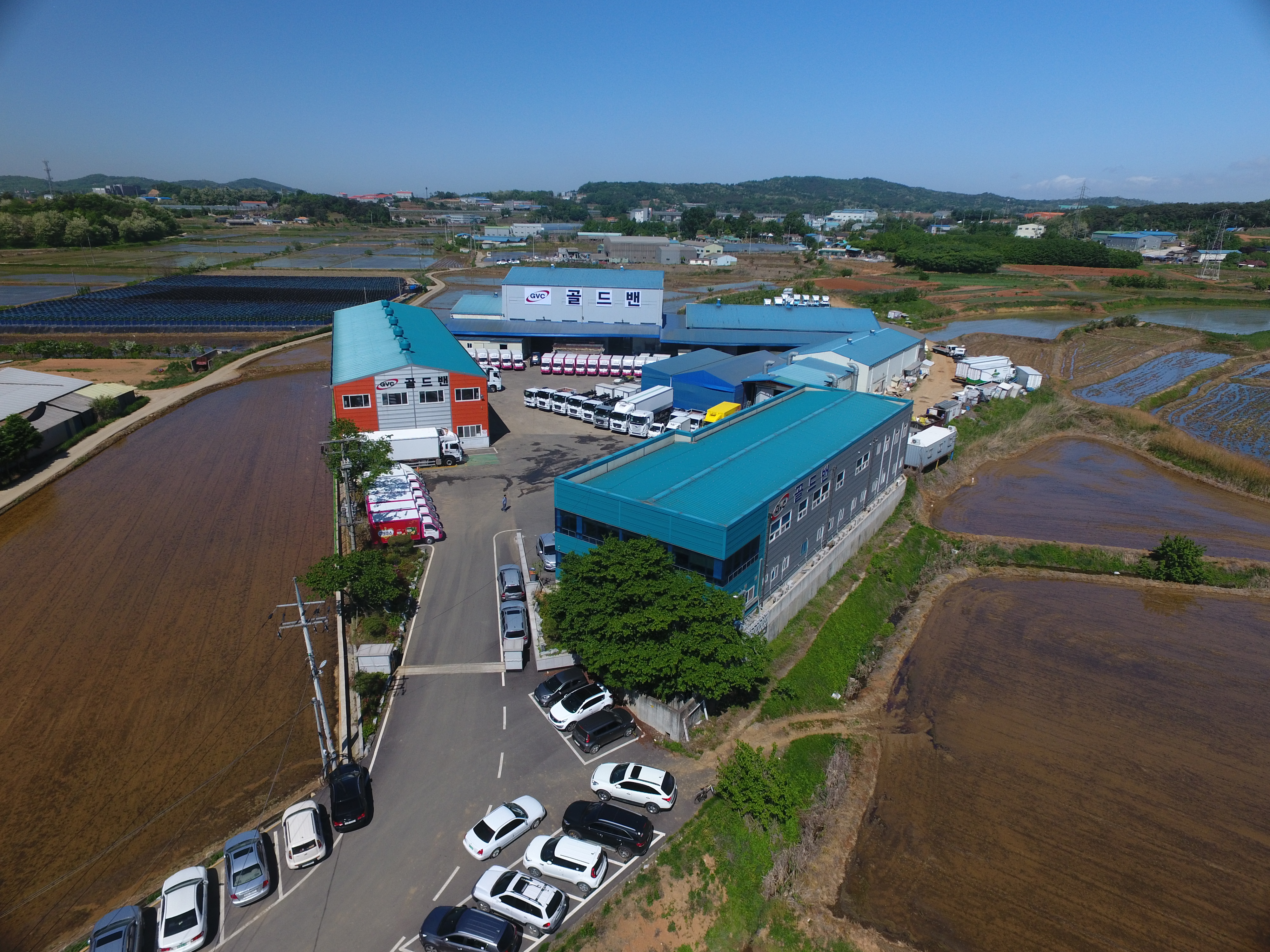 골드밴