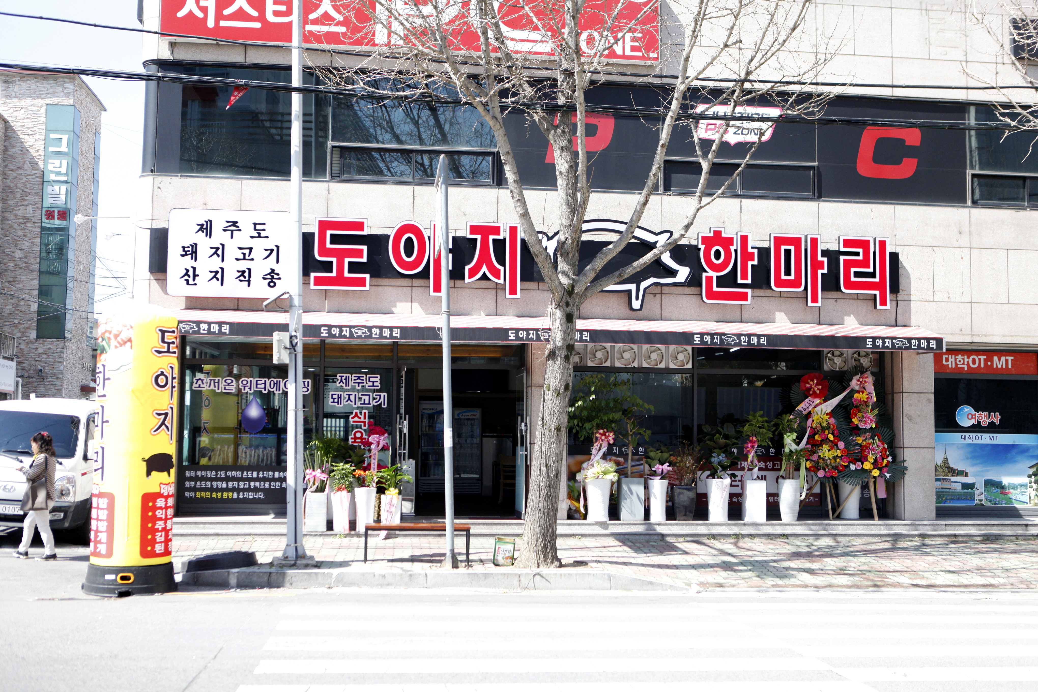 가까운 삼겹살식당 광주 서구 오겹살 돼지껍데기 돼지뒷고기 항정살 통삼겹 한돈 목살 도야지한마리