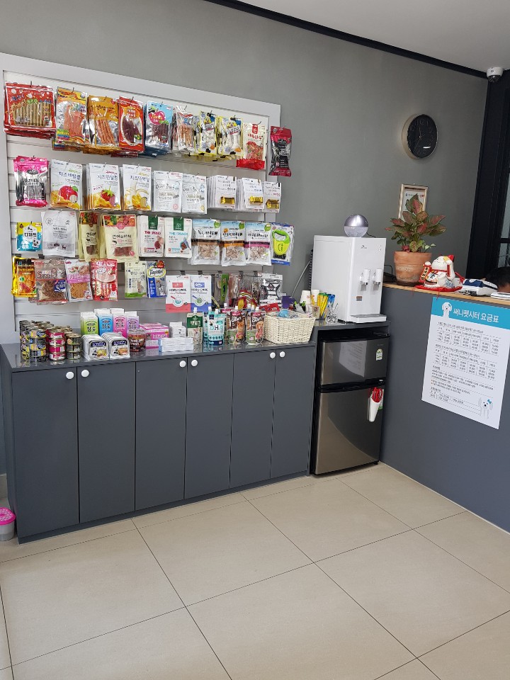 써니펫시터 대표 이미지