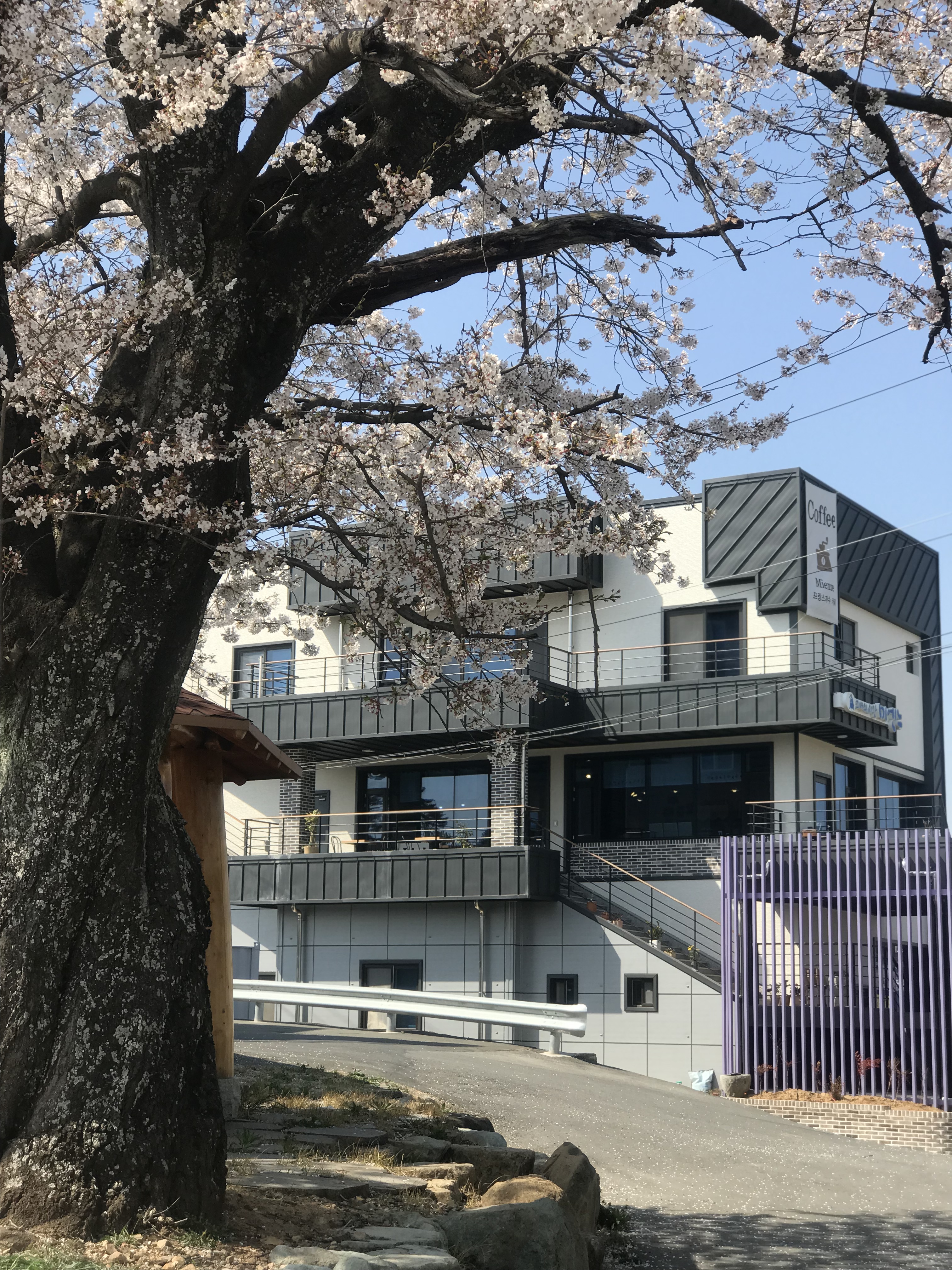 그녀의시간미엔느
