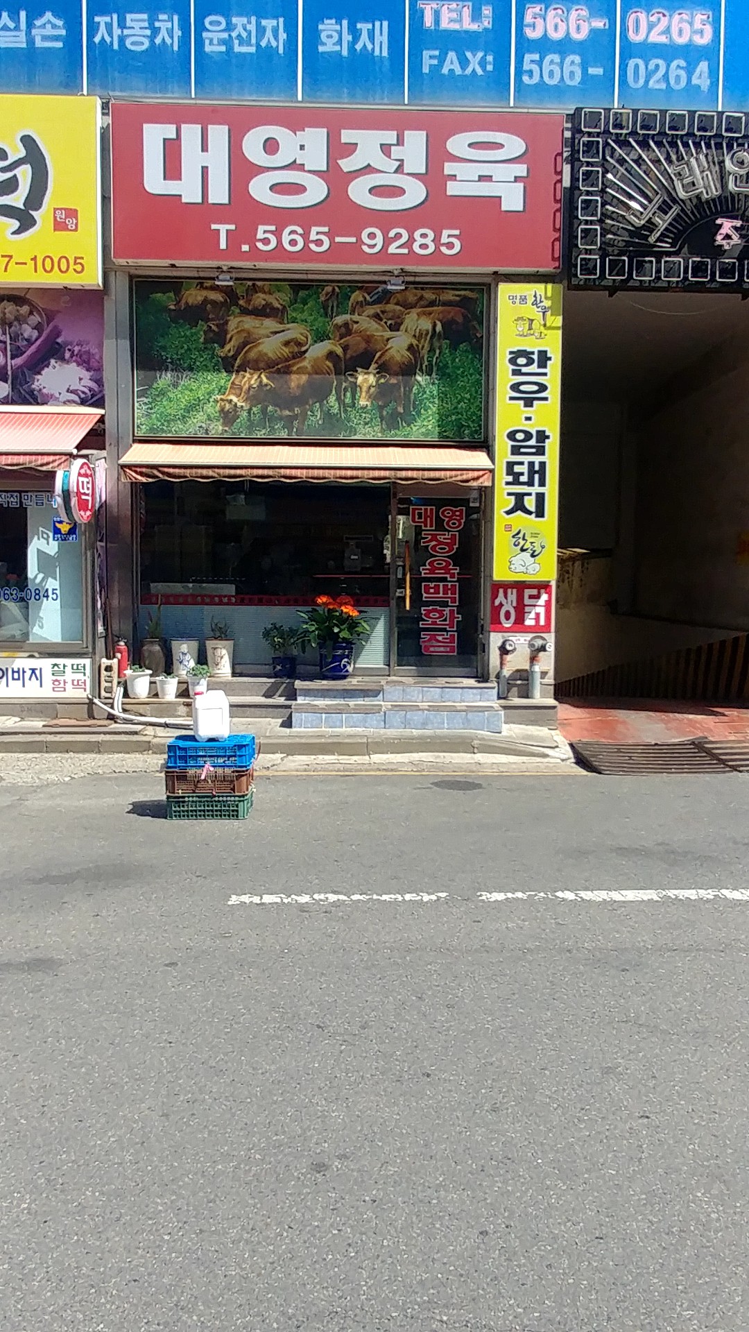 대영정육백화점