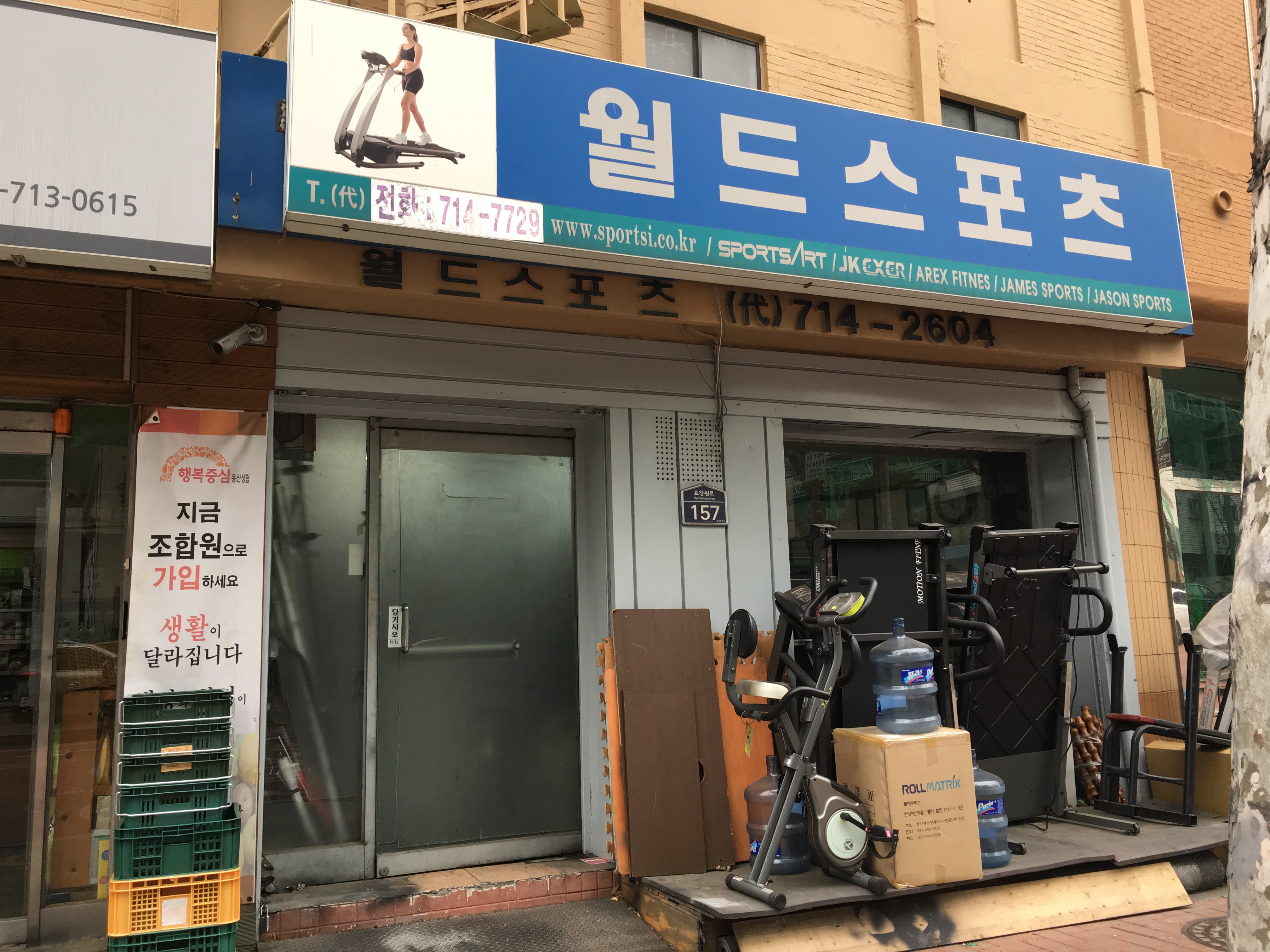 월드스포츠 대표 이미지