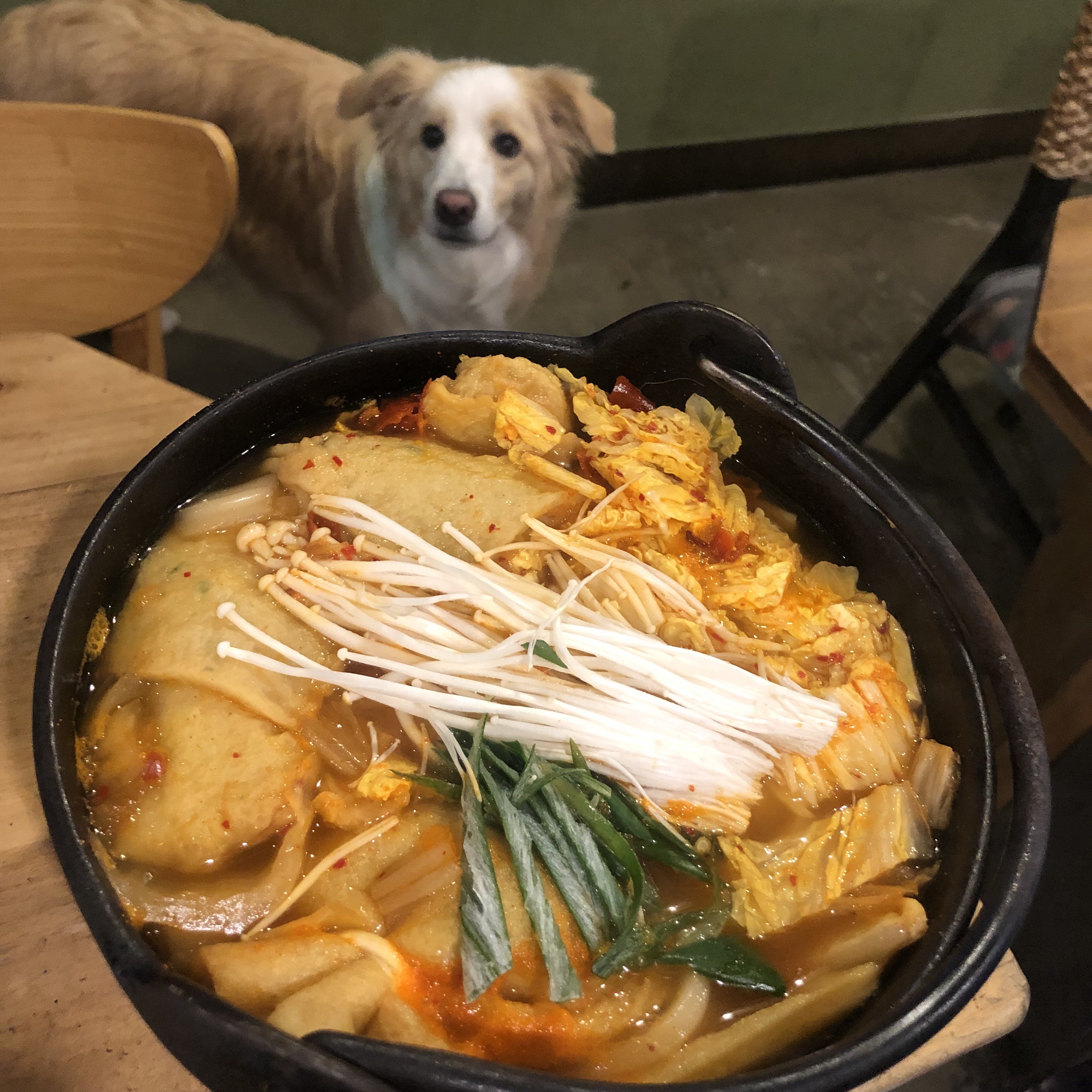 오츠카레 달그네 대표 이미지