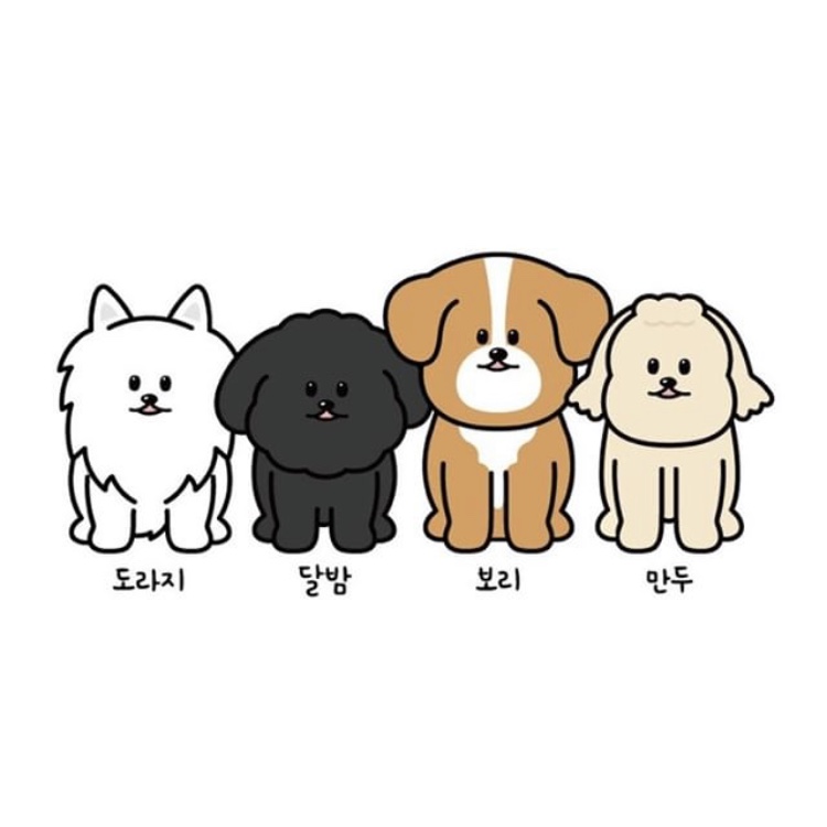 멍살롱 대표 이미지