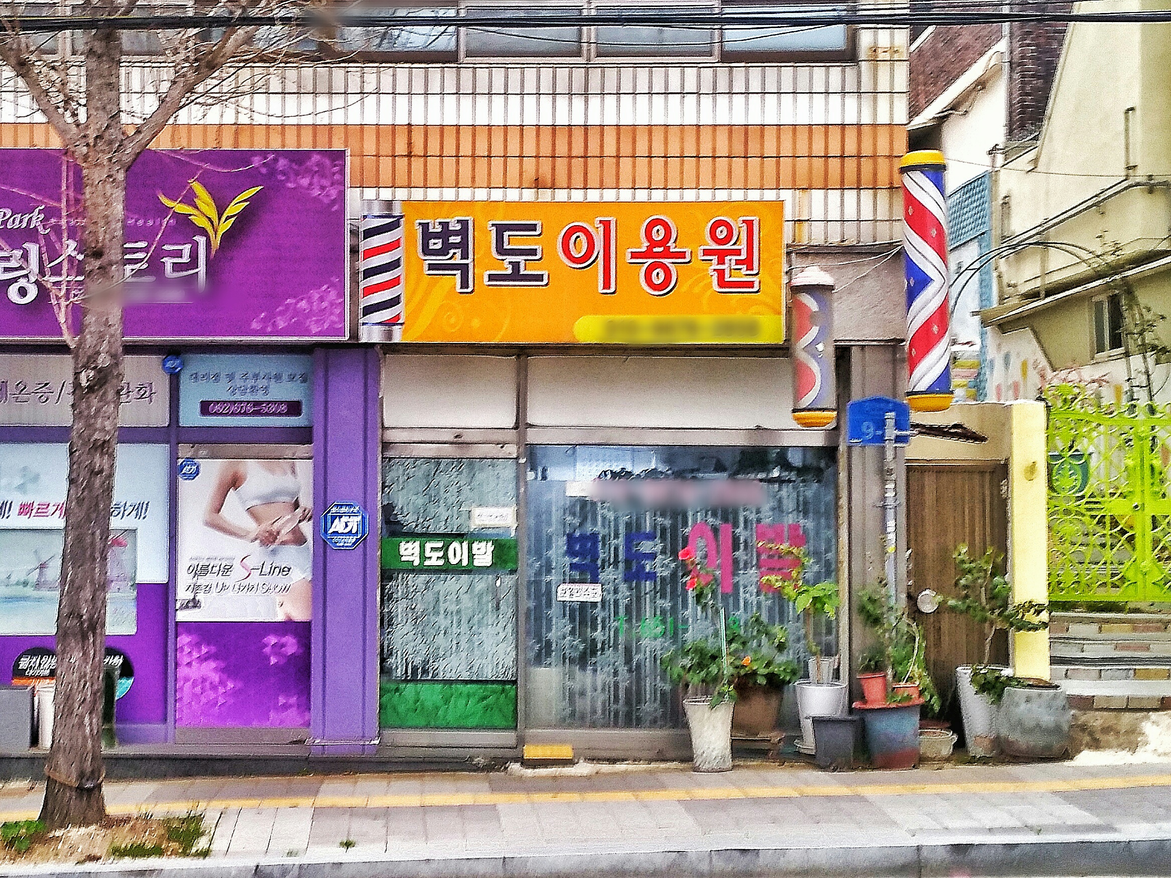 벽도이용원