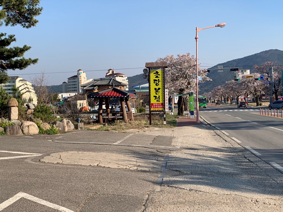 초당본점 순두부 속초시 애견맛집