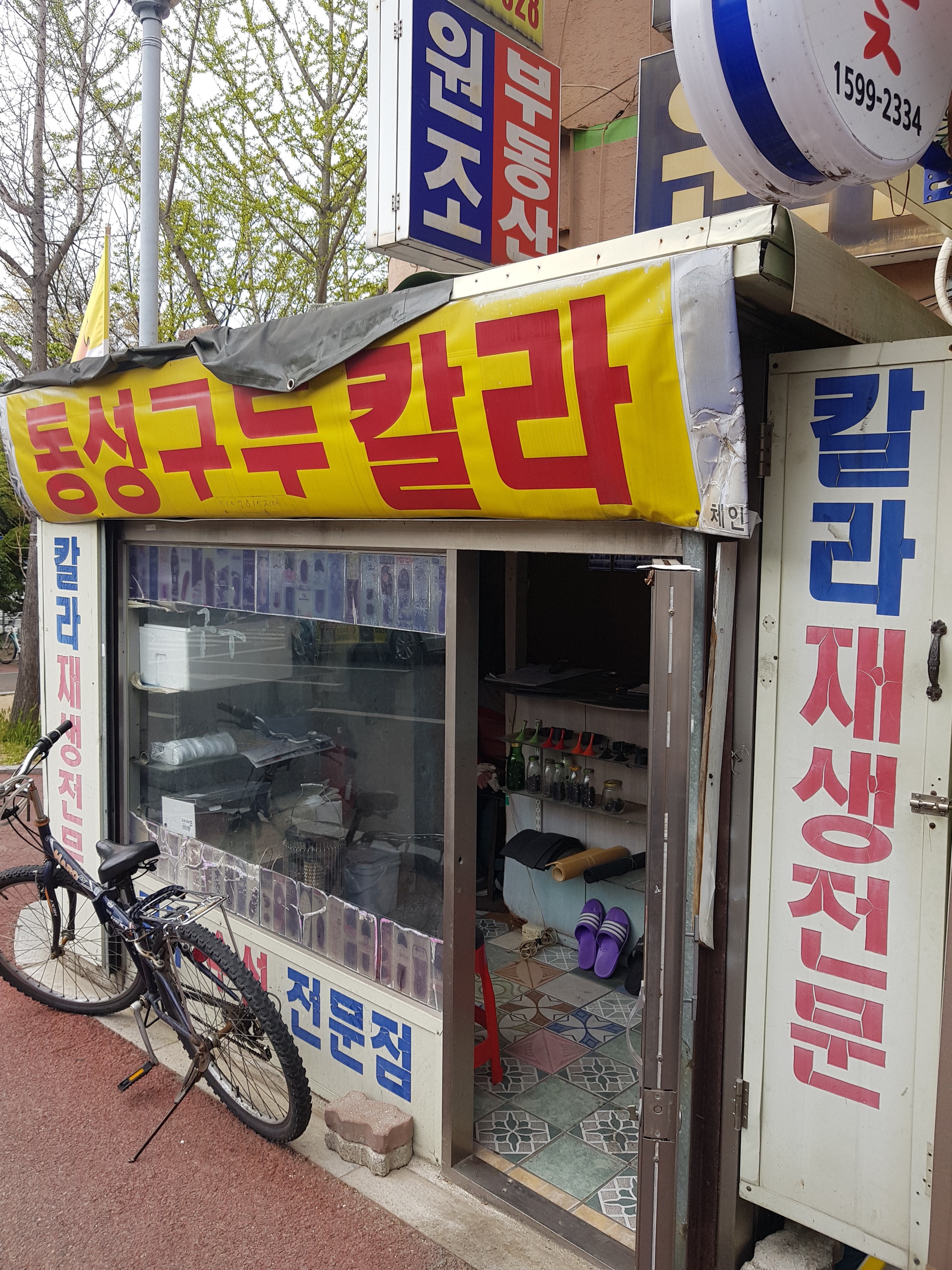 동성구두칼라