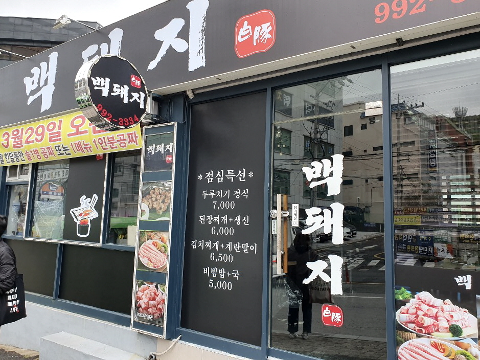 백돼지