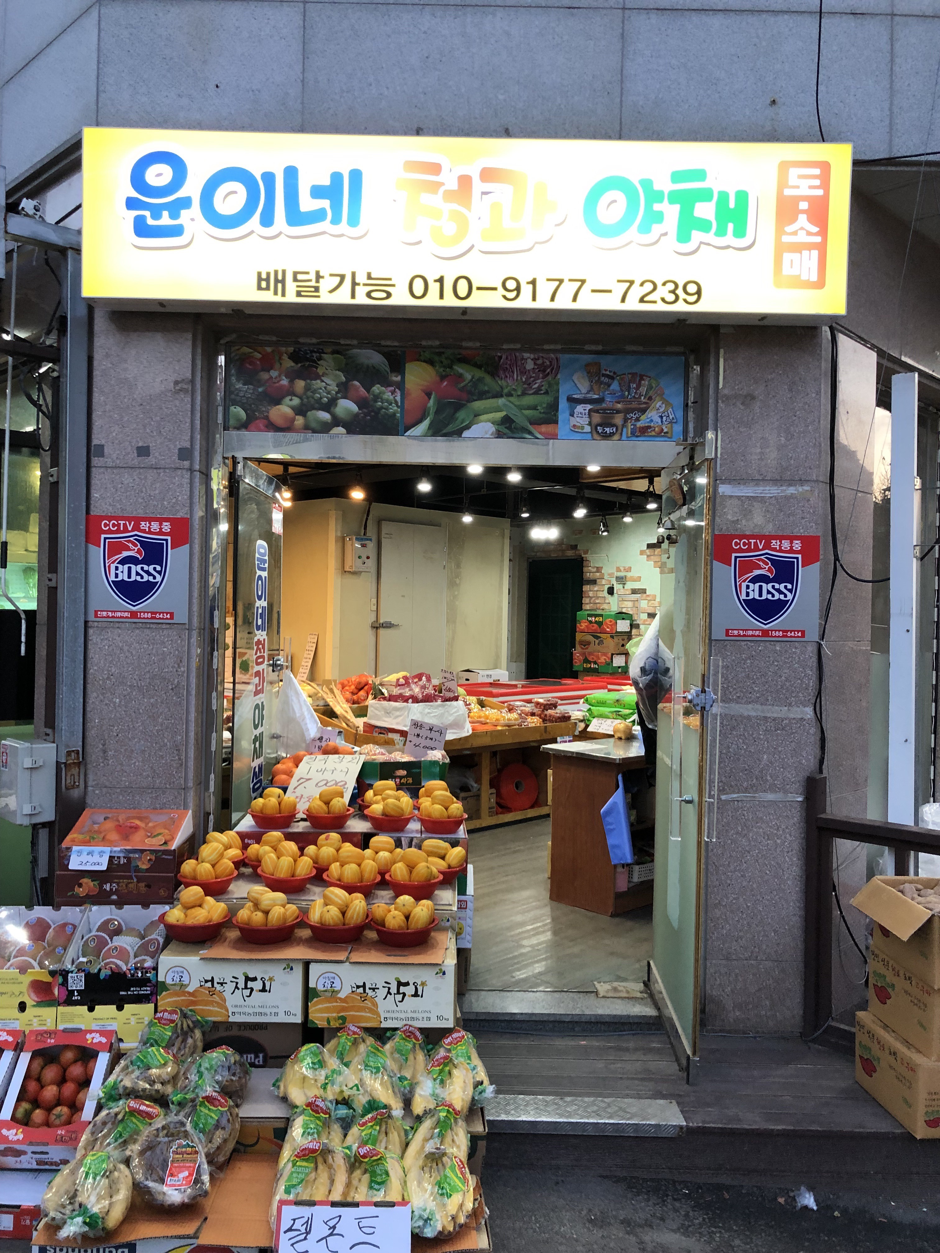 윤이네청과