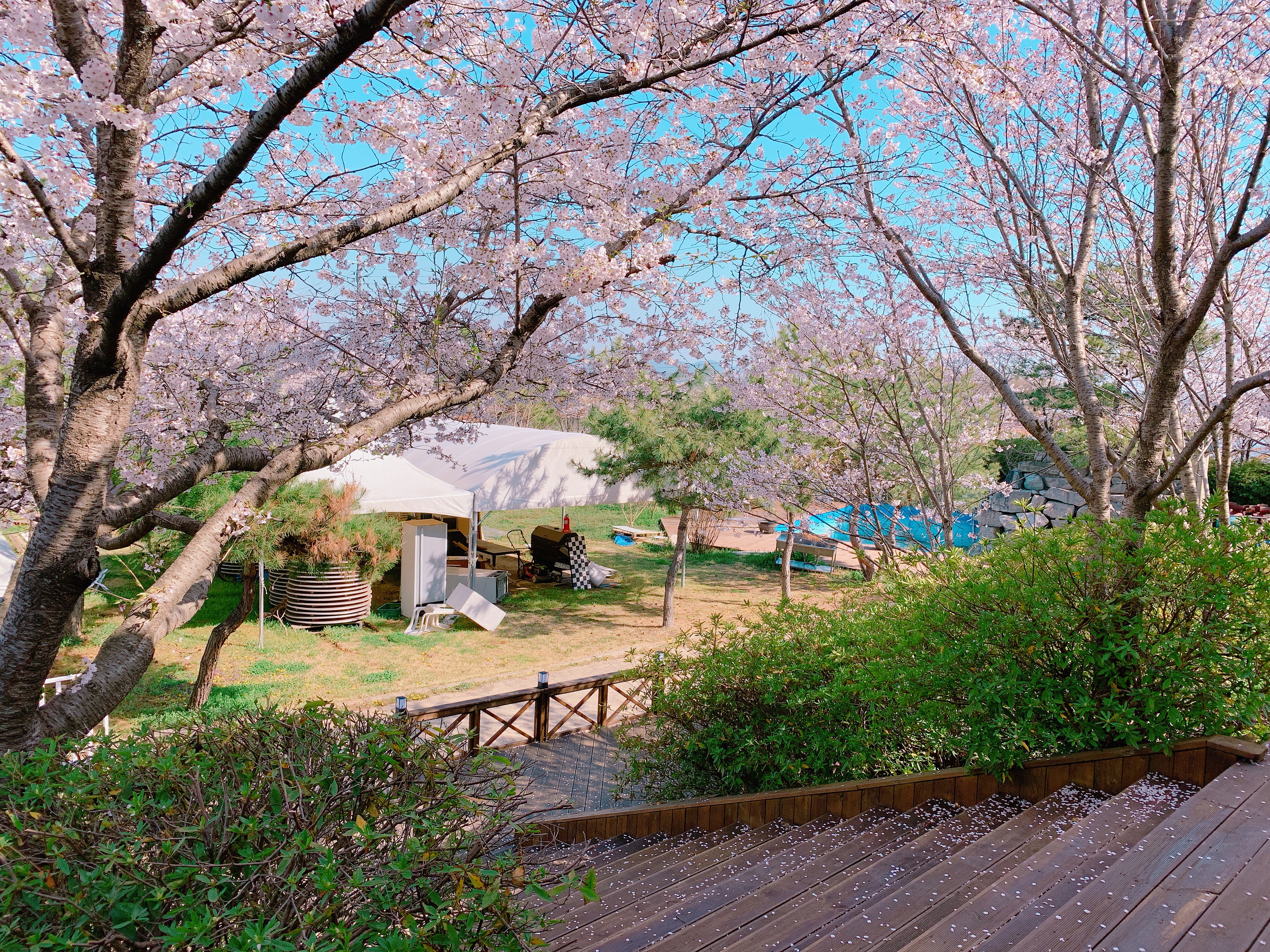 영광리조트 3