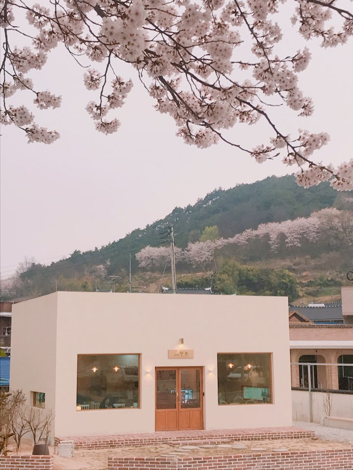 카페연희 전라 애견맛집