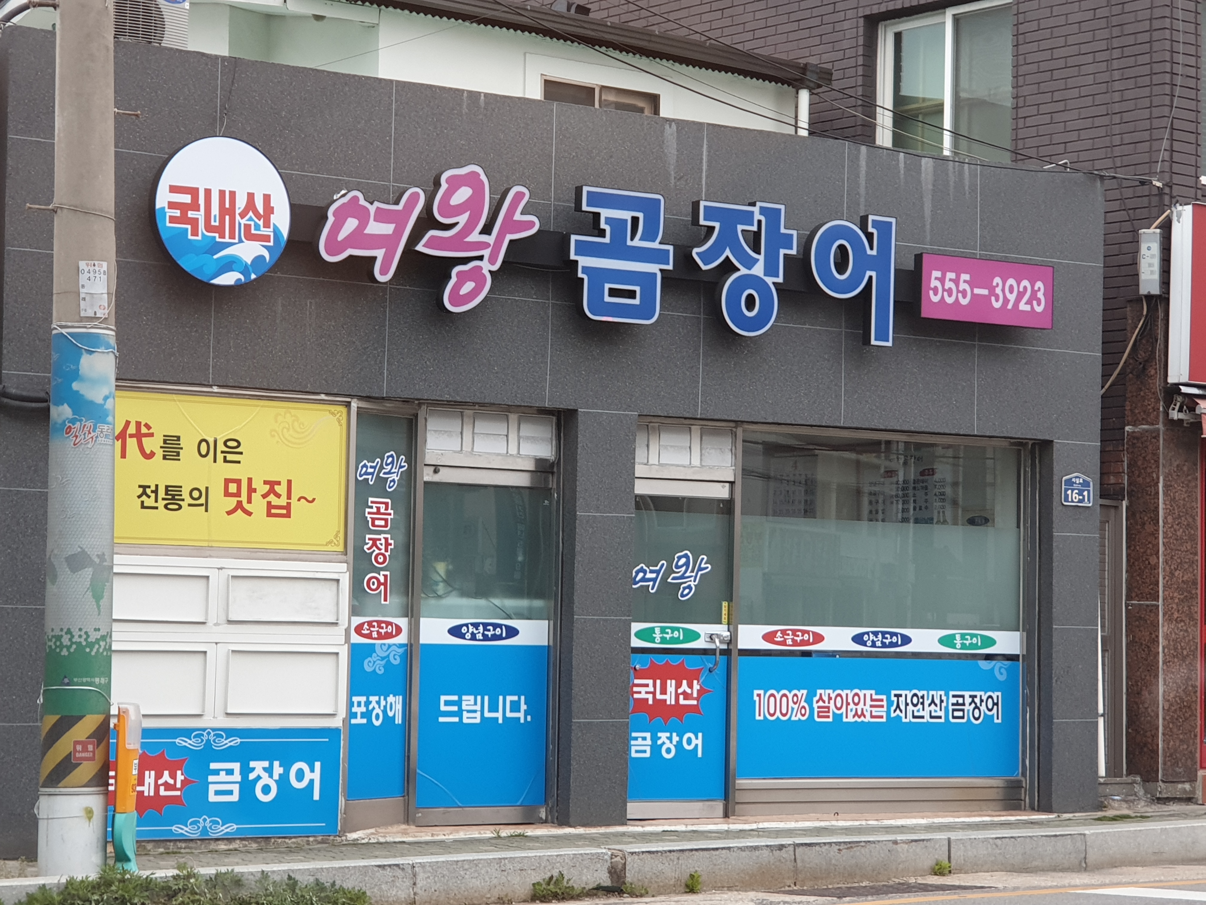 여왕곰장어