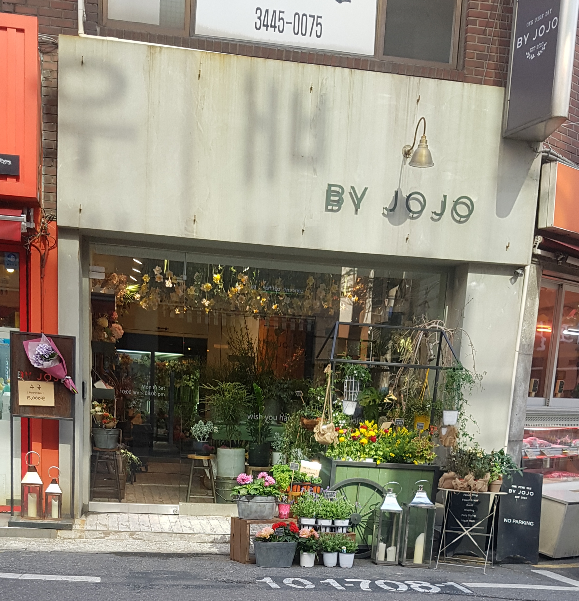 바이조조