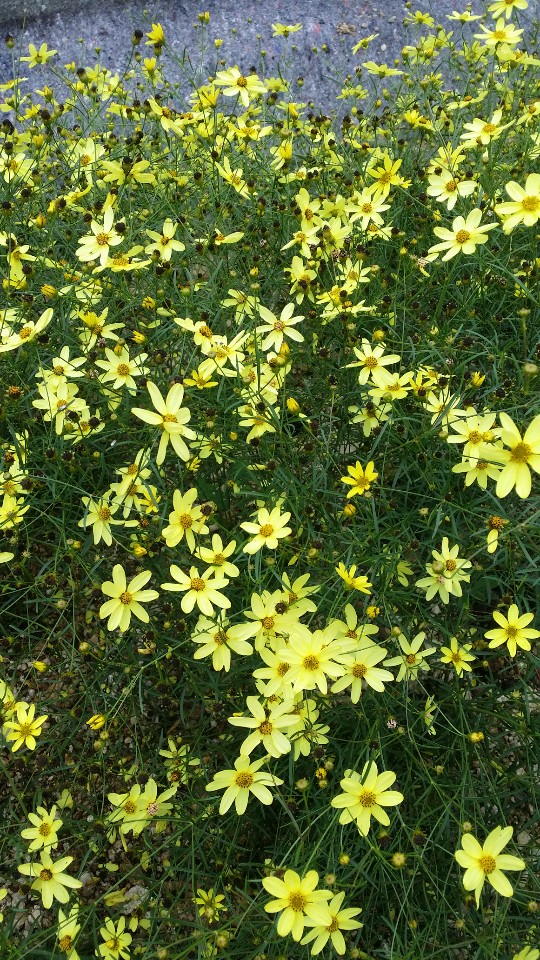 산들농원