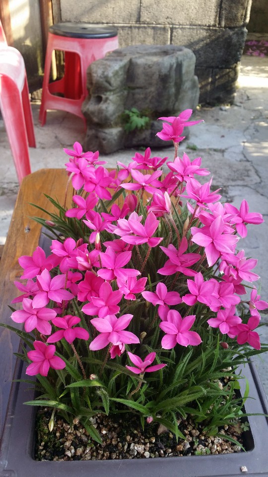 산들농원