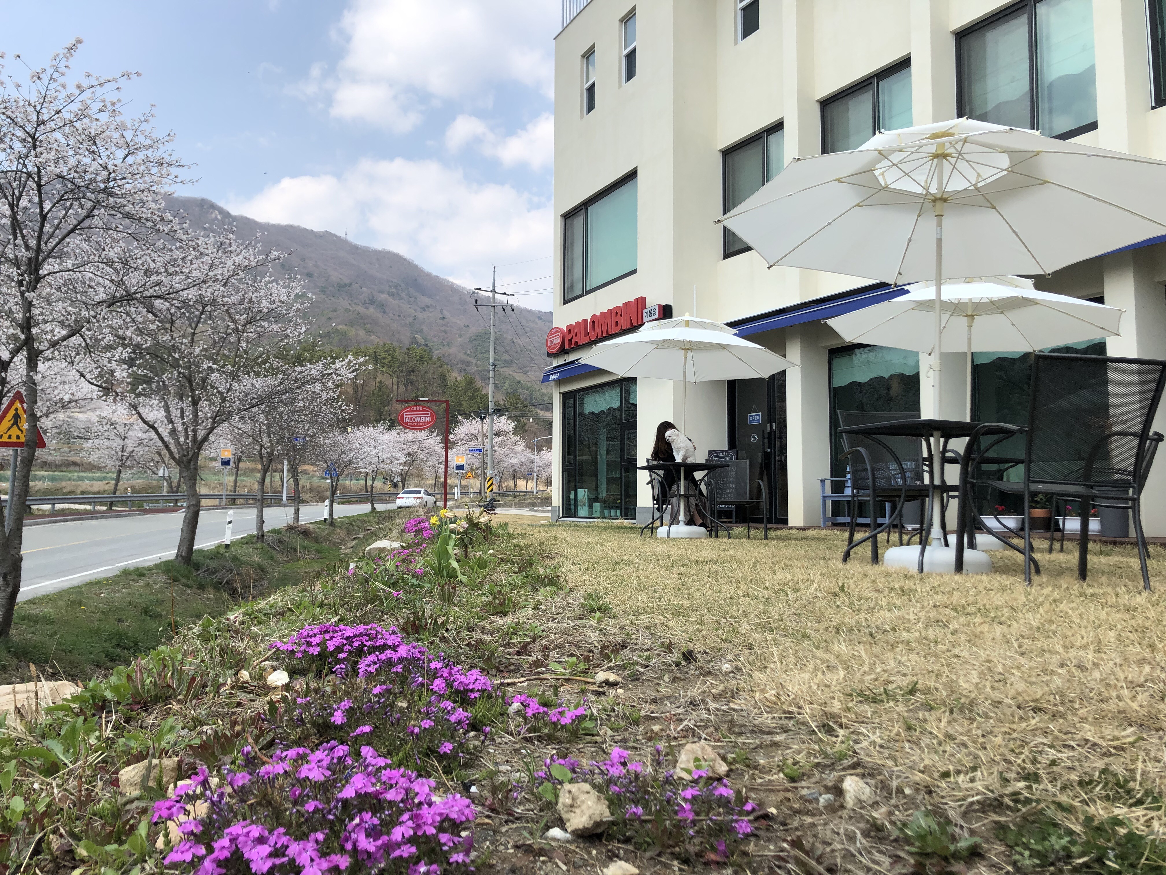 팔롬비니 계룡점
