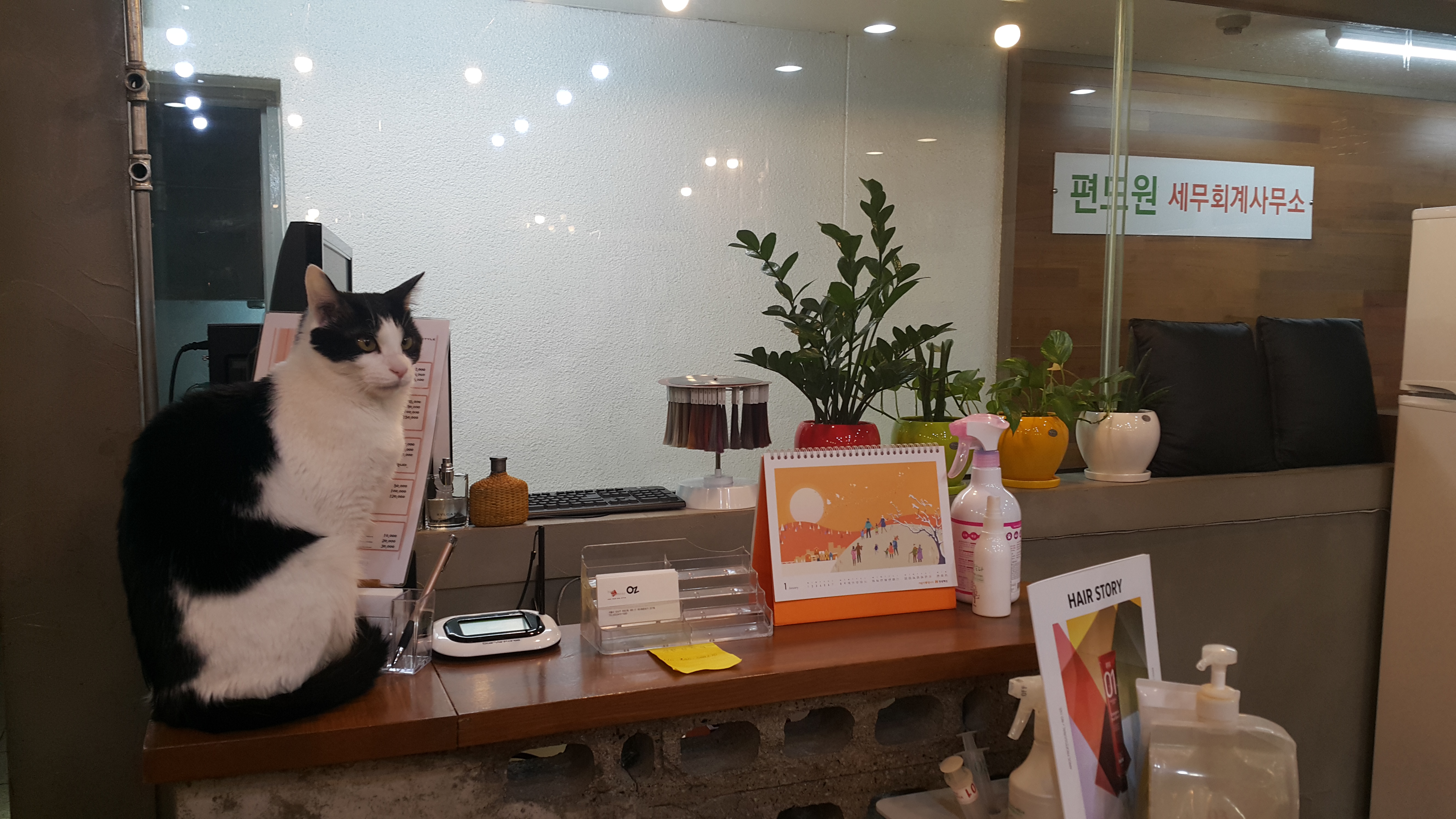 헤어플래너오즈 대표 이미지