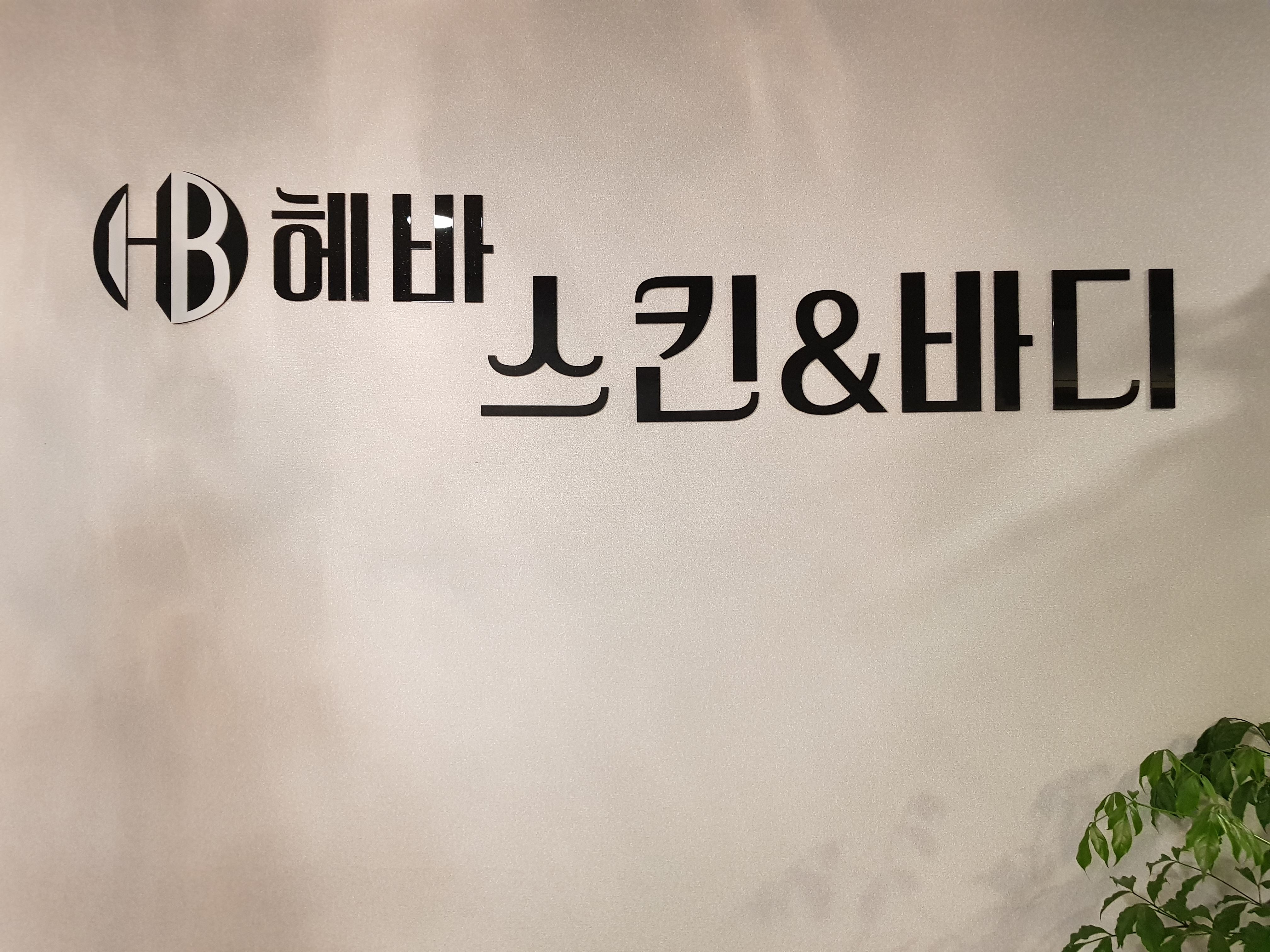 헤바스킨앤바디