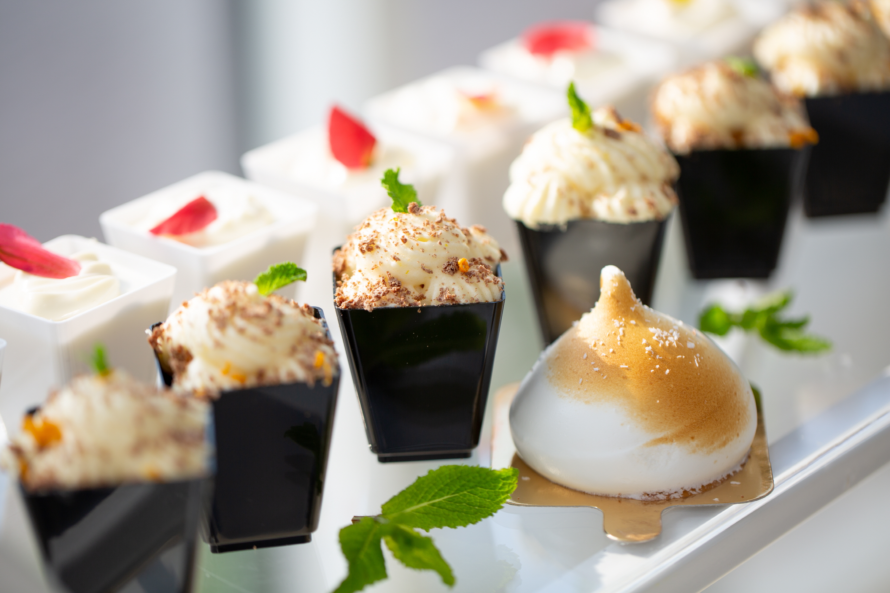 차푸드 대표 이미지