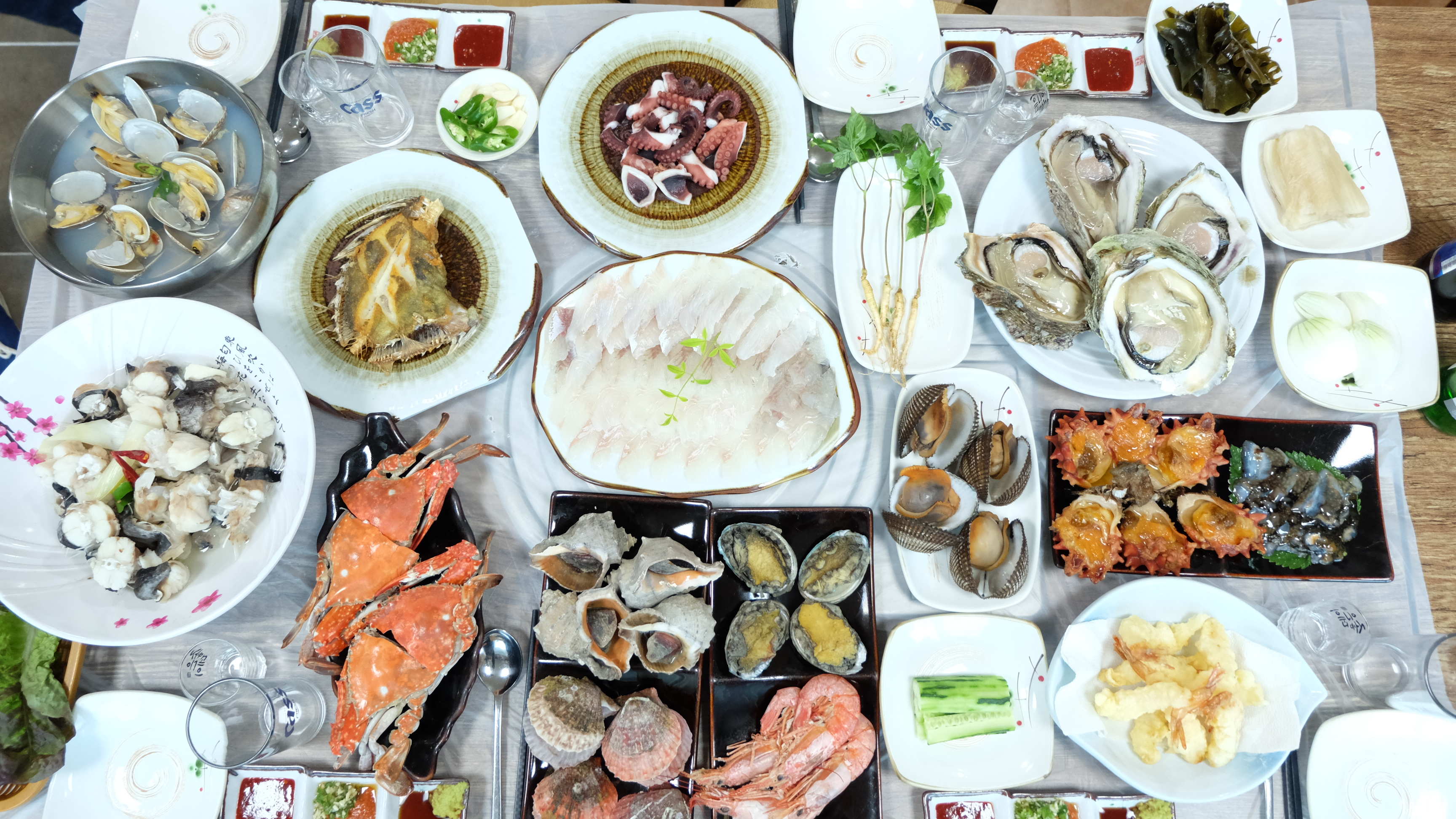 학섬횟집 경상 애견맛집