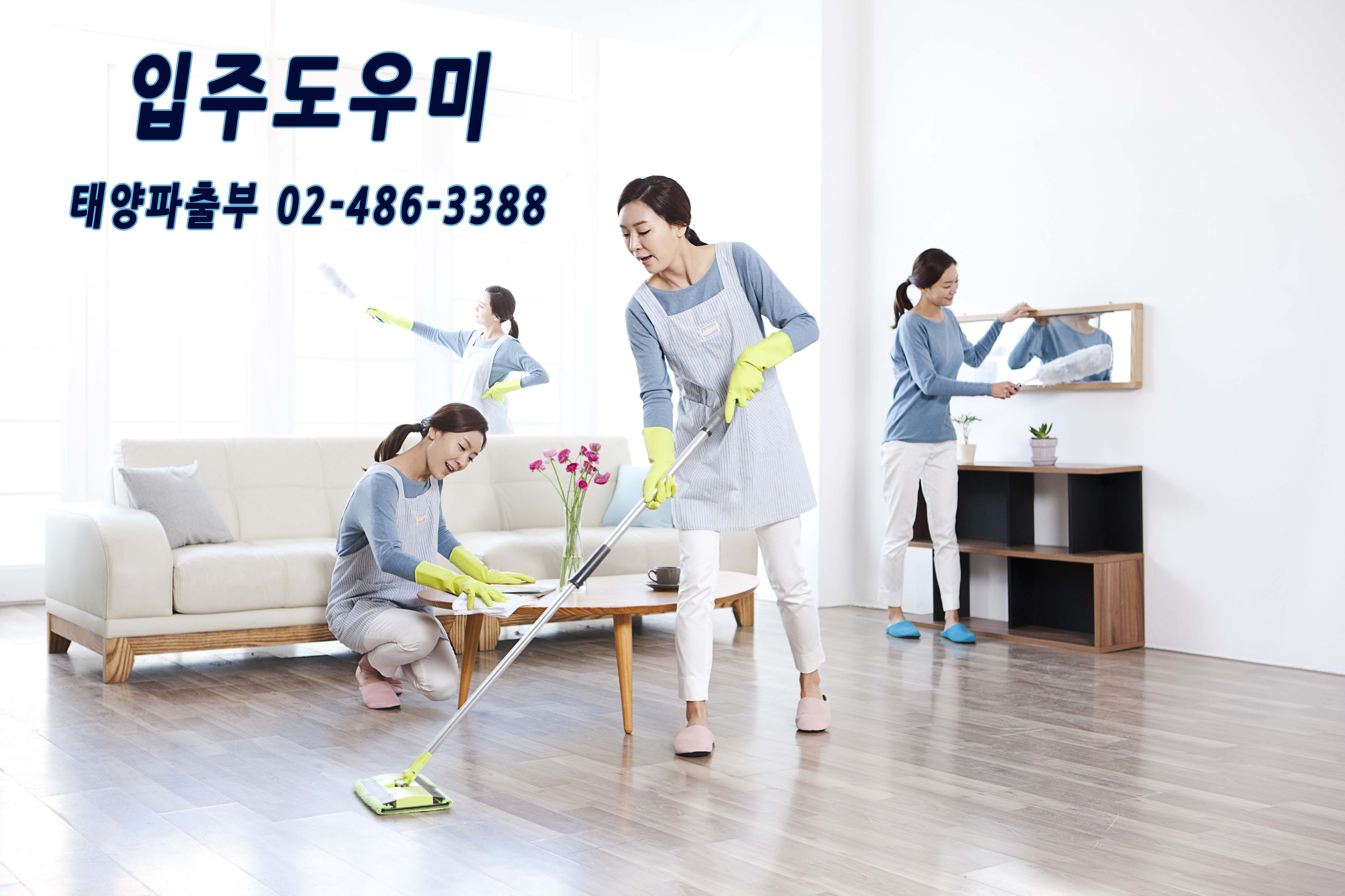 태양파출부