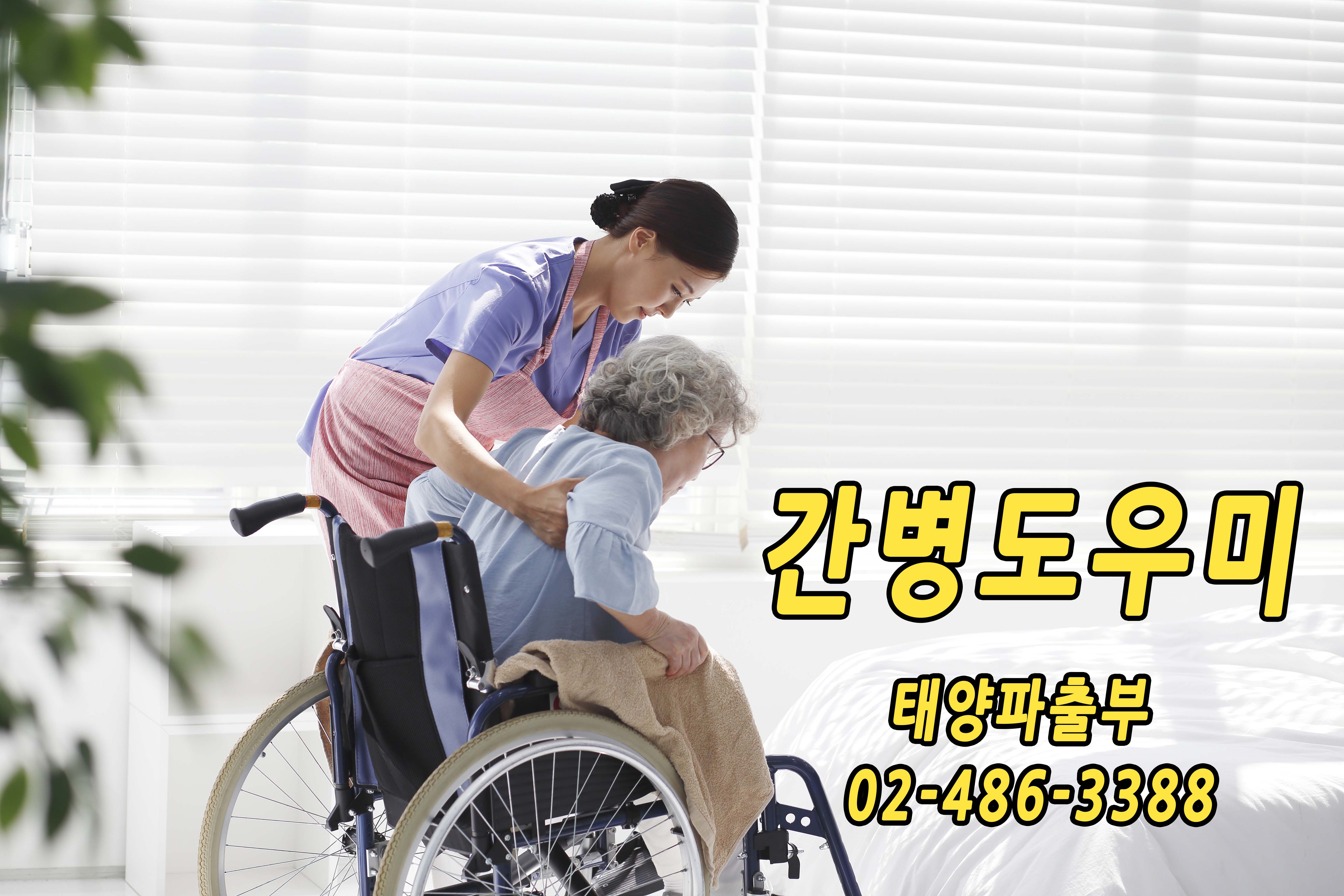 태양파출부