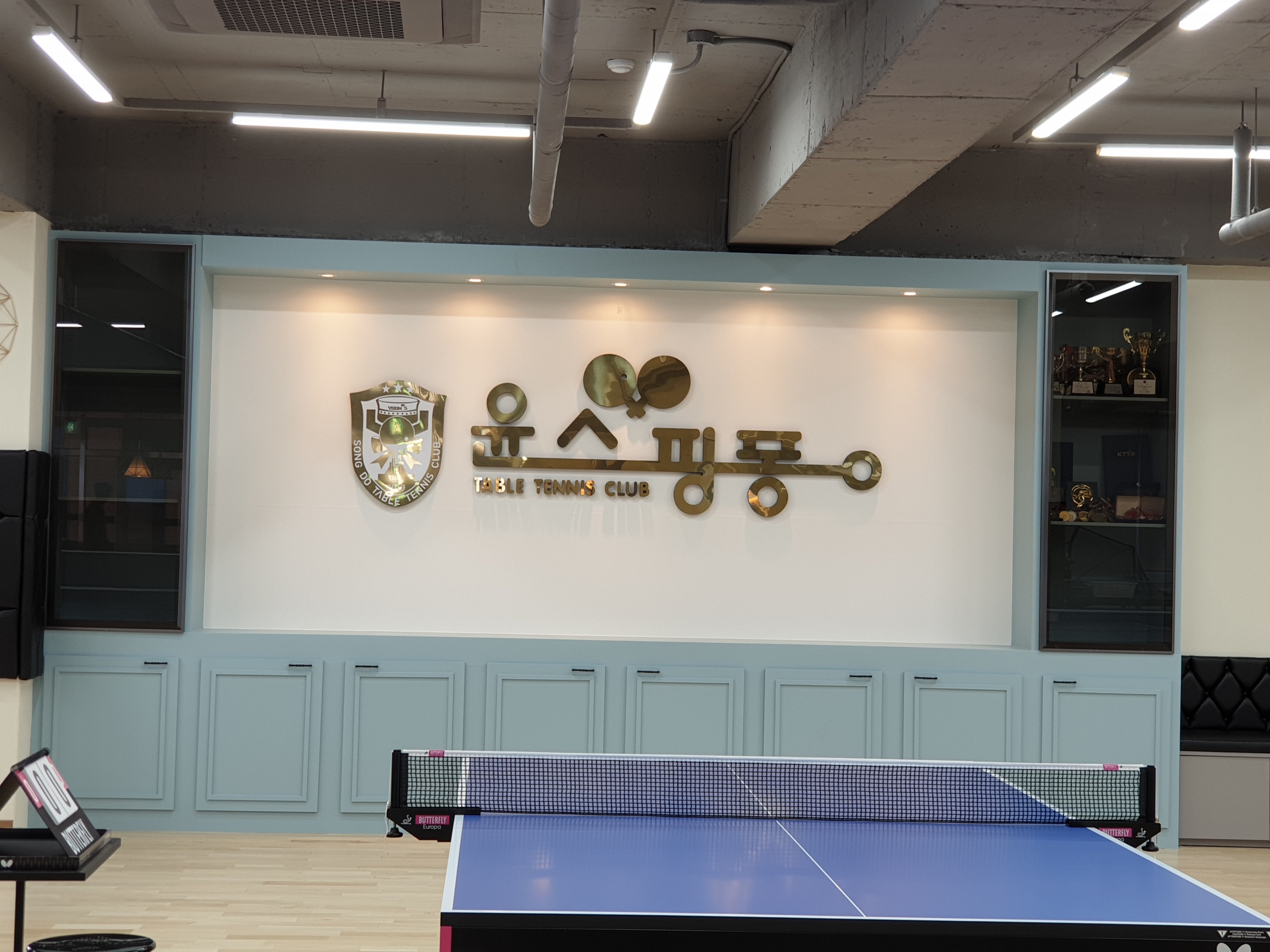 윤스핑퐁