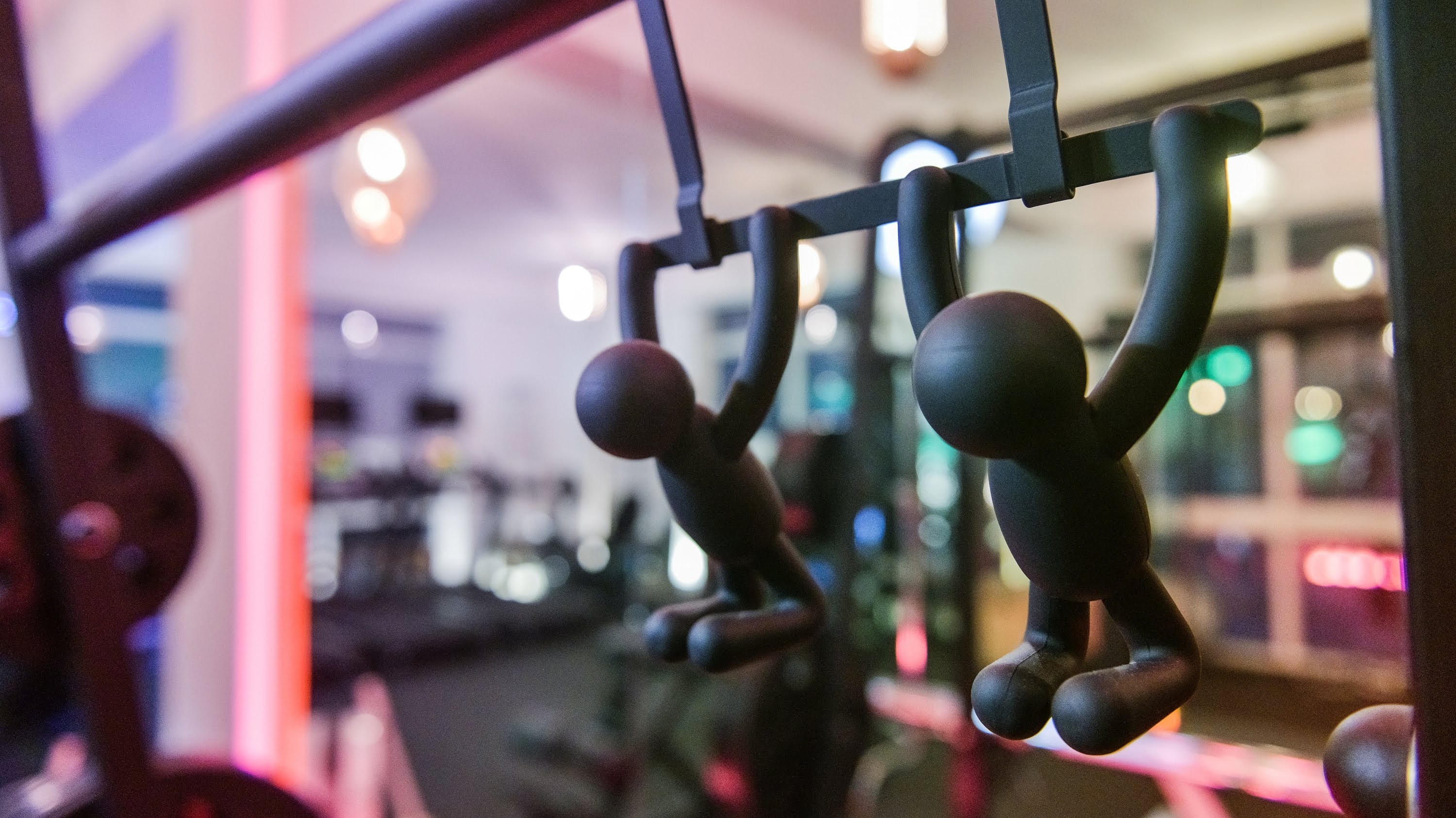 LIGHT FIT 대표 이미지