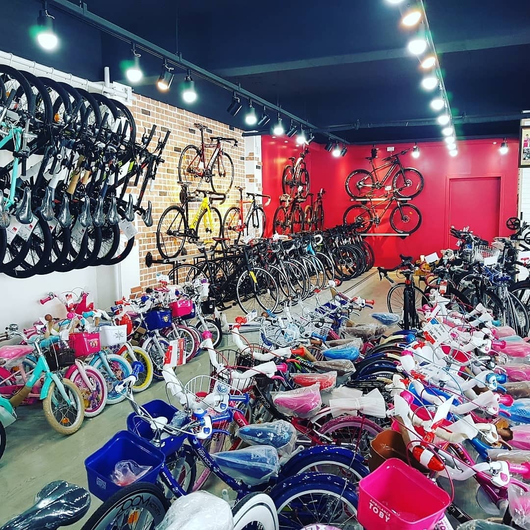 엔비스포츠 대표 이미지