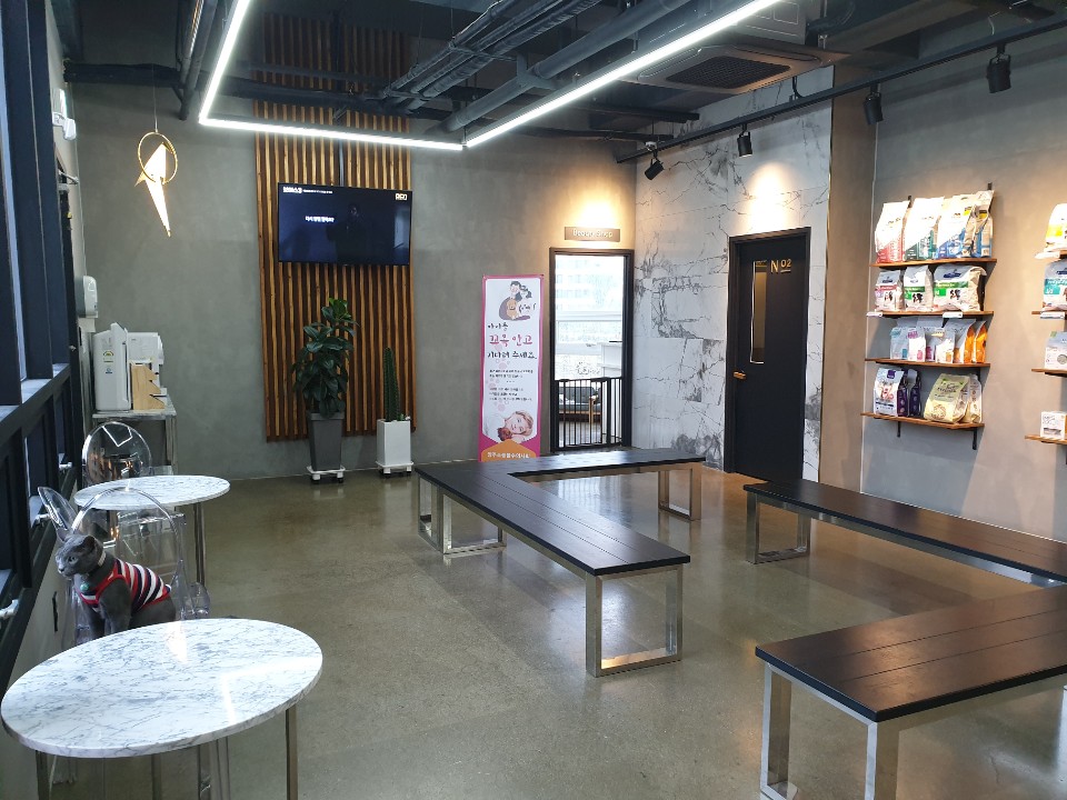 반창꼬동물병원