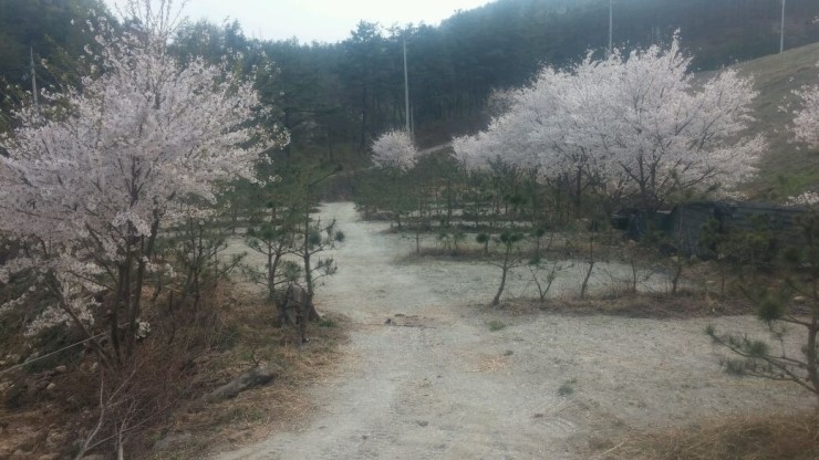 산우물쉼터오토캠핑장&카라반 (호수낚시)